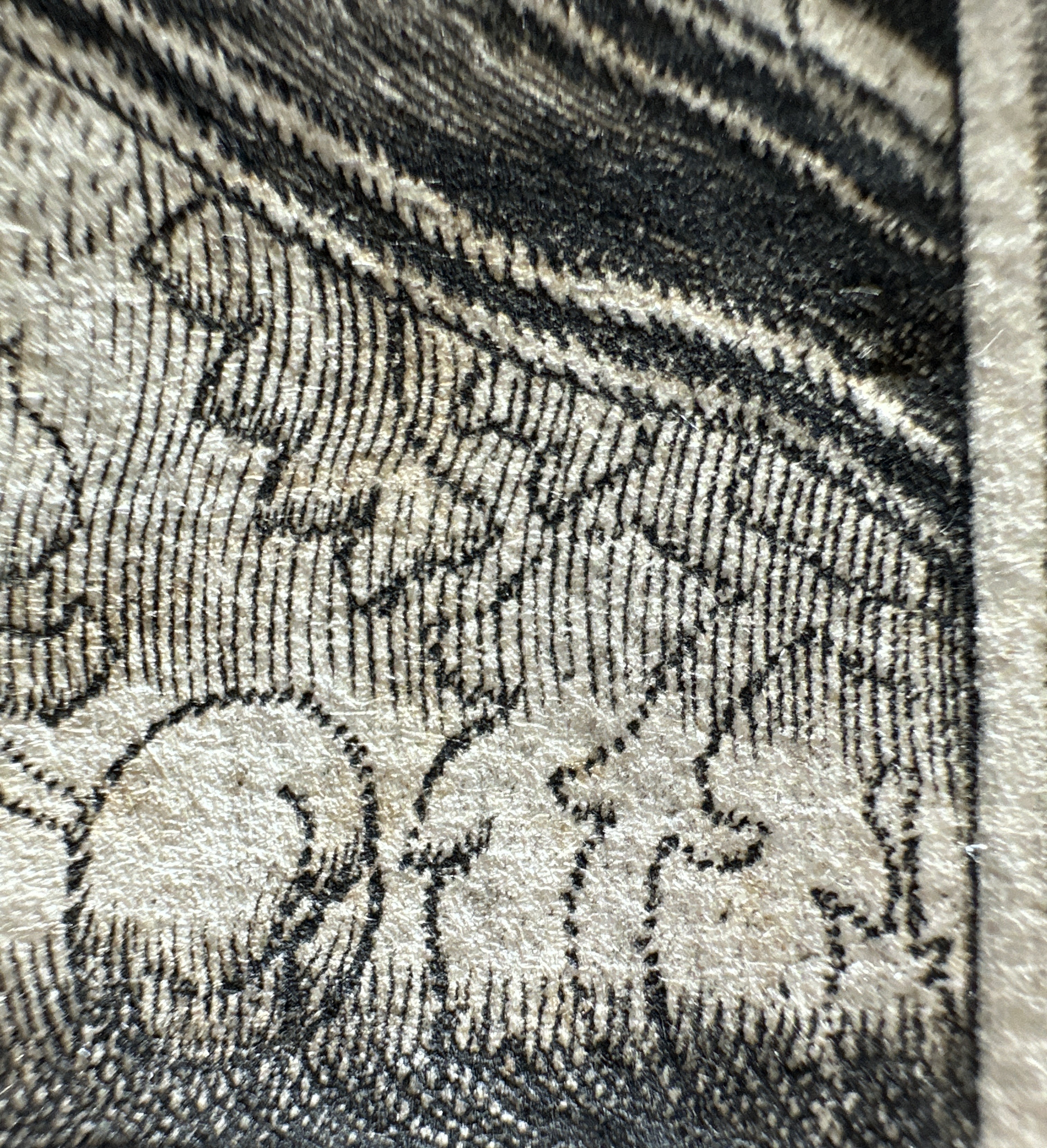 Macro Details fig 24