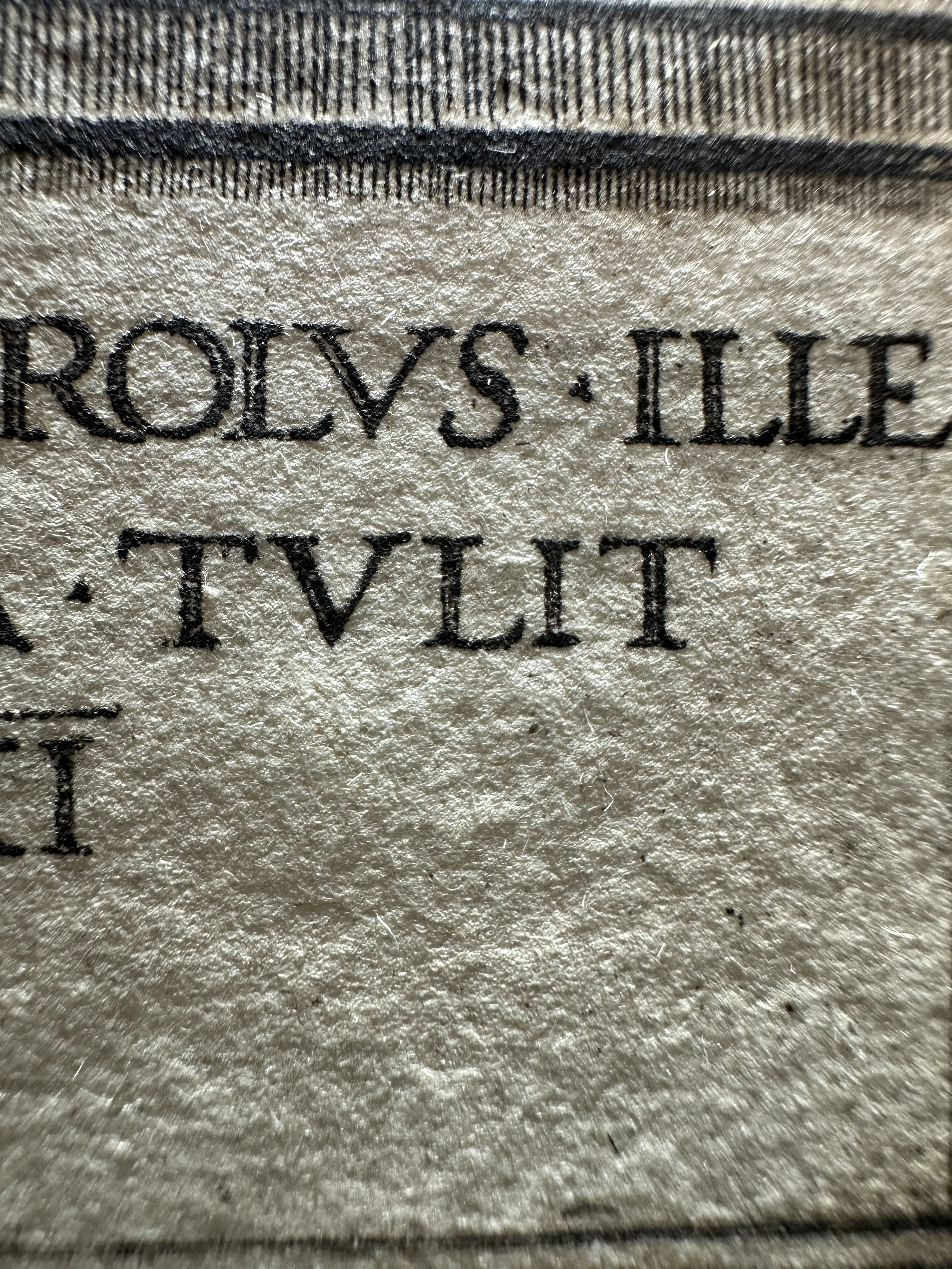 Macro Details fig 30