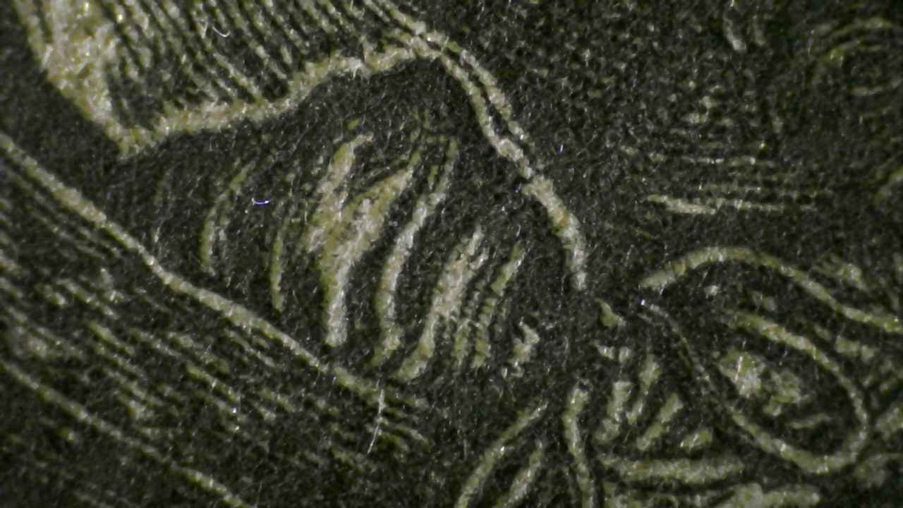 Microscopio Details fig 8