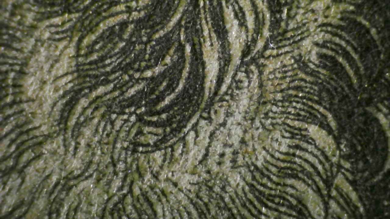 Microscopio Details fig 7