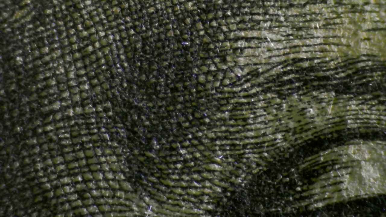 Microscopio Details fig 2