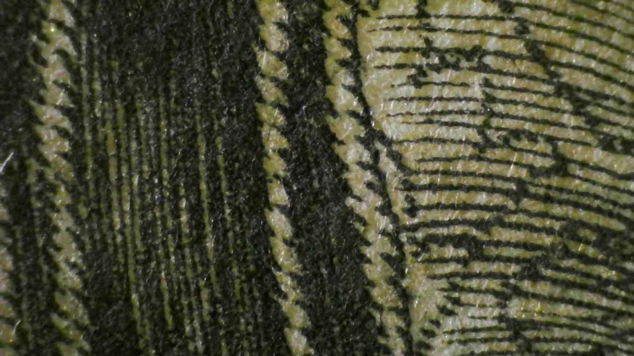 Microscopio Details fig 13