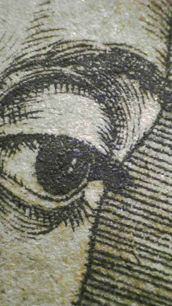 Microscopio Details fig 11