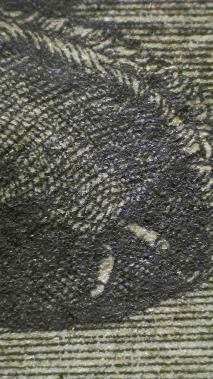 Microscopio Details fig 16