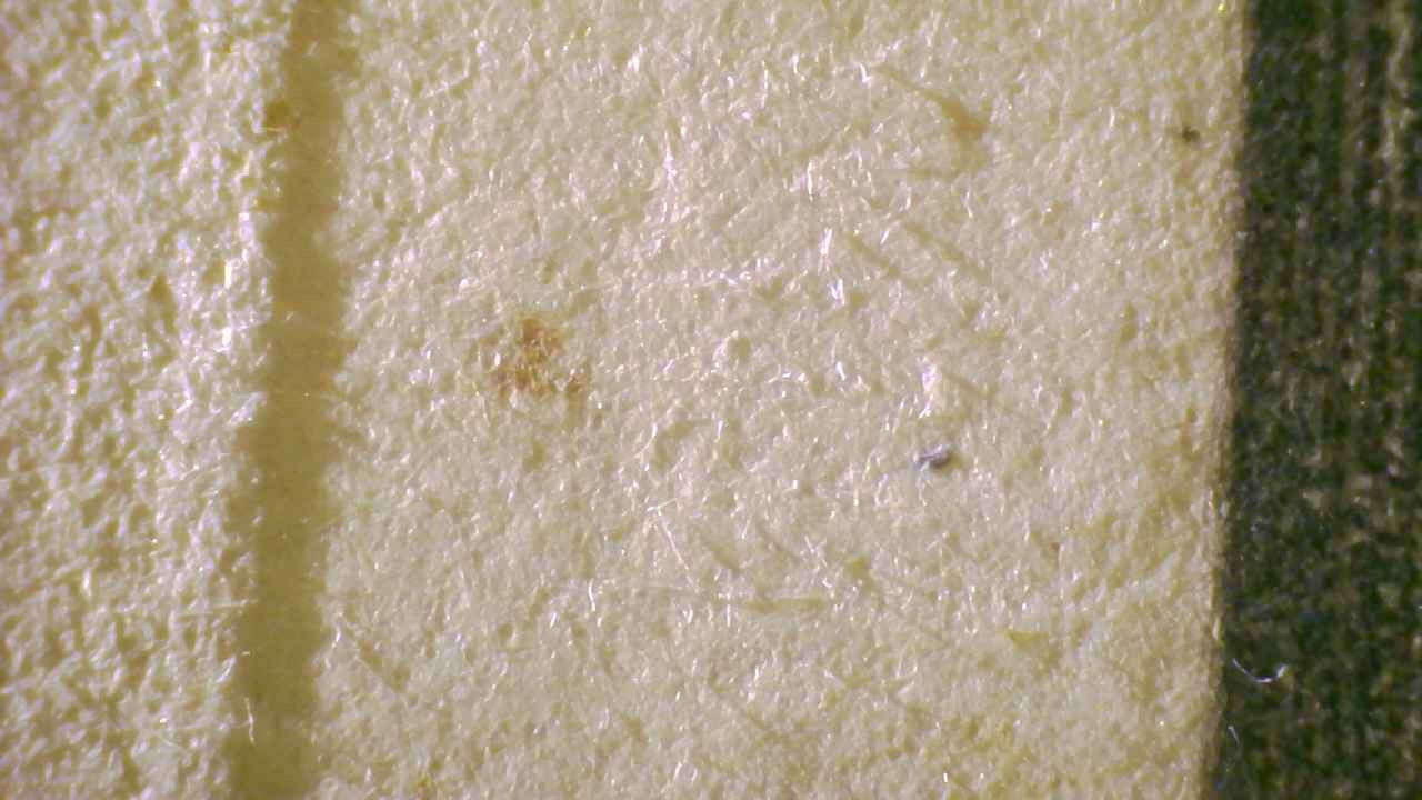 Microscopio Details fig 20