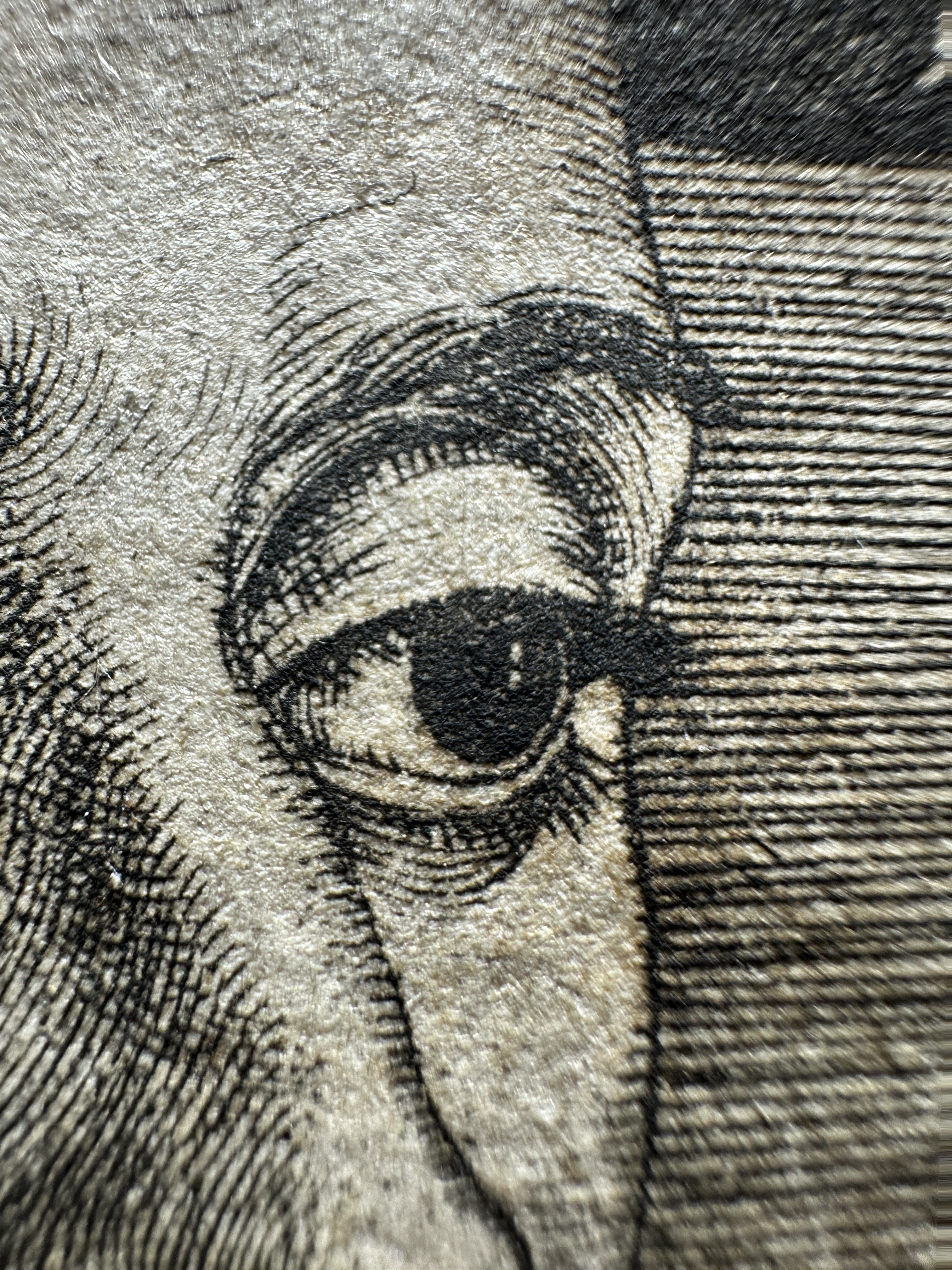 Microscopio Details fig 10