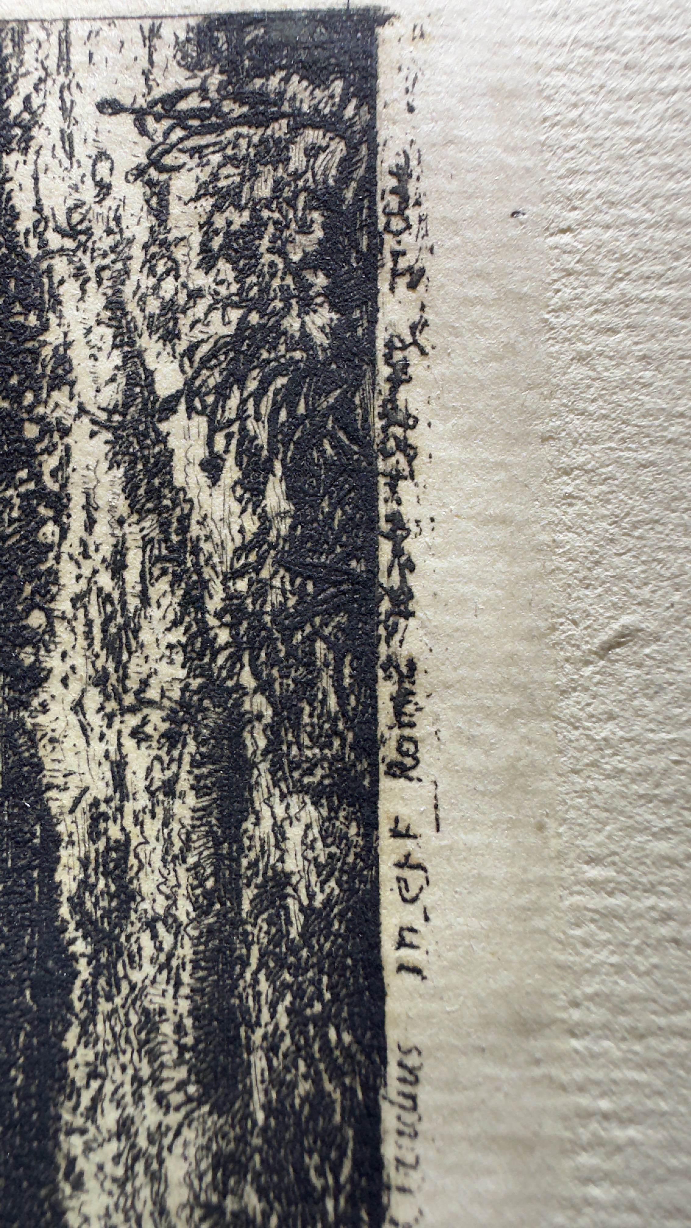 II. Signature macro (incision and ink–fiber interaction)