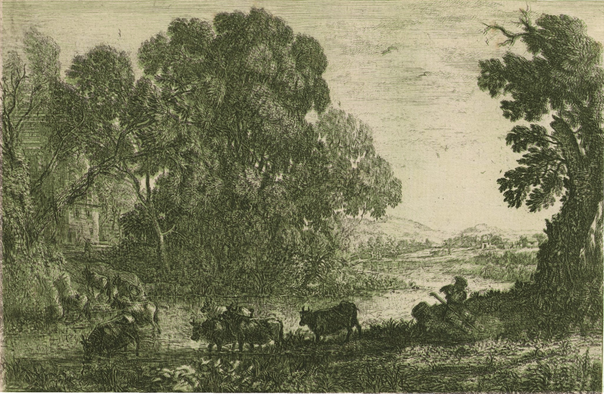 Panel C — Structural overlay