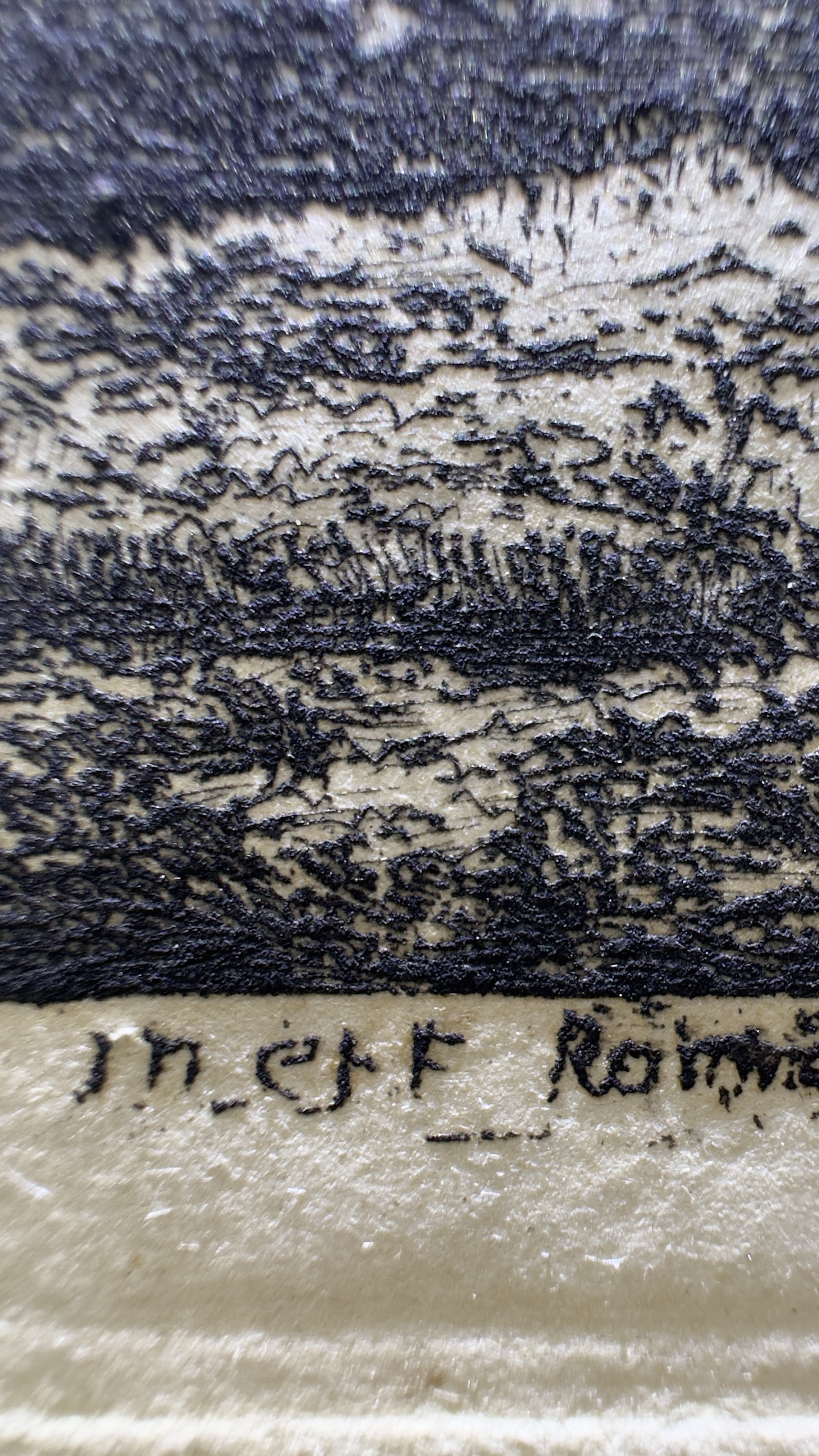 Macro Details Fig.20