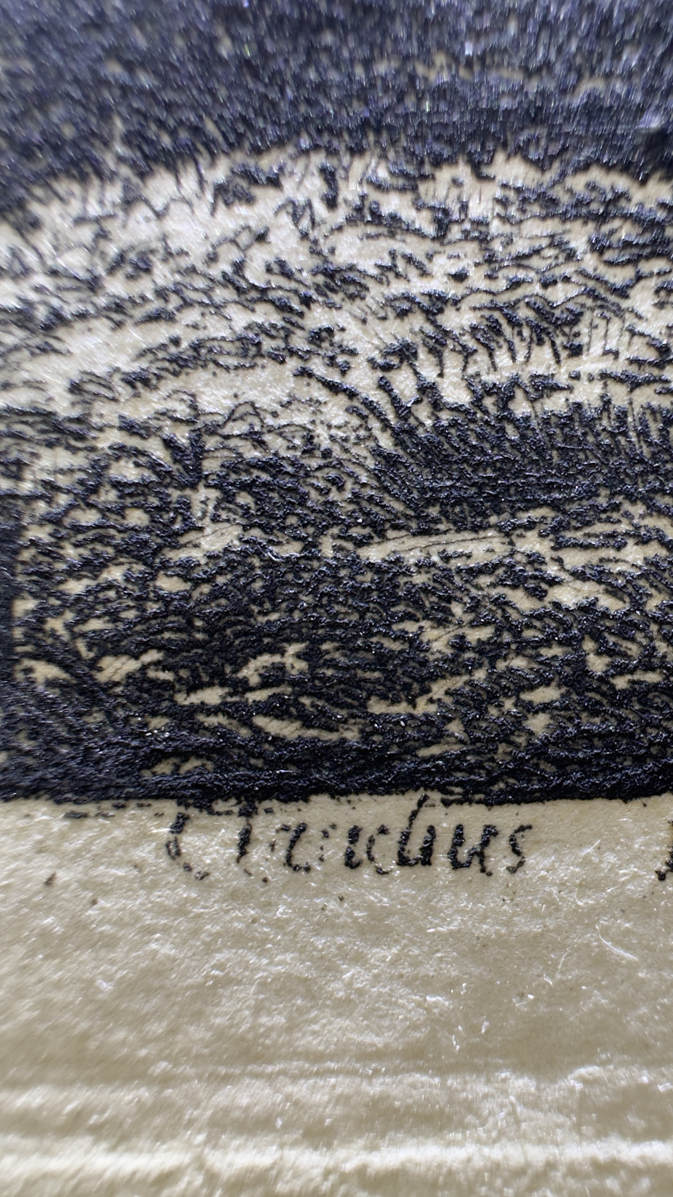 Macro Details Fig.19