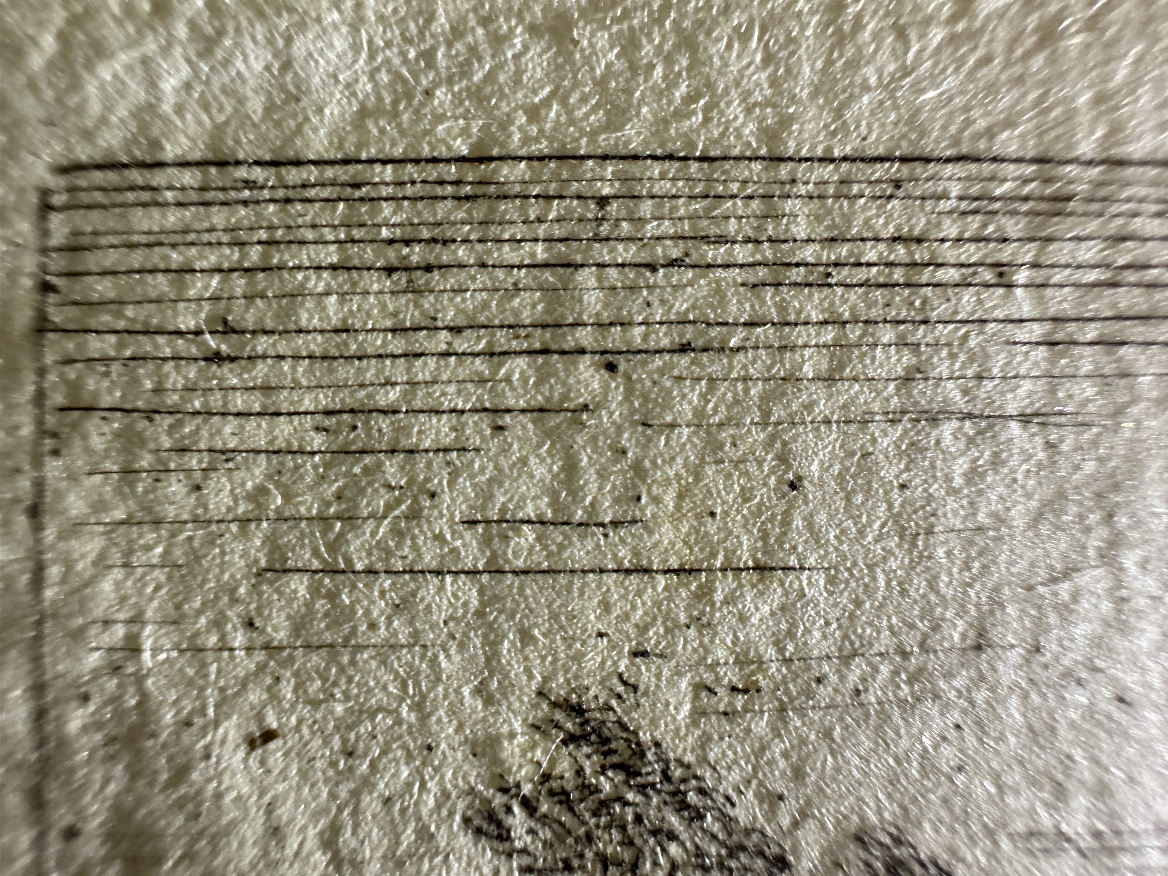 Macro Details Fig.17