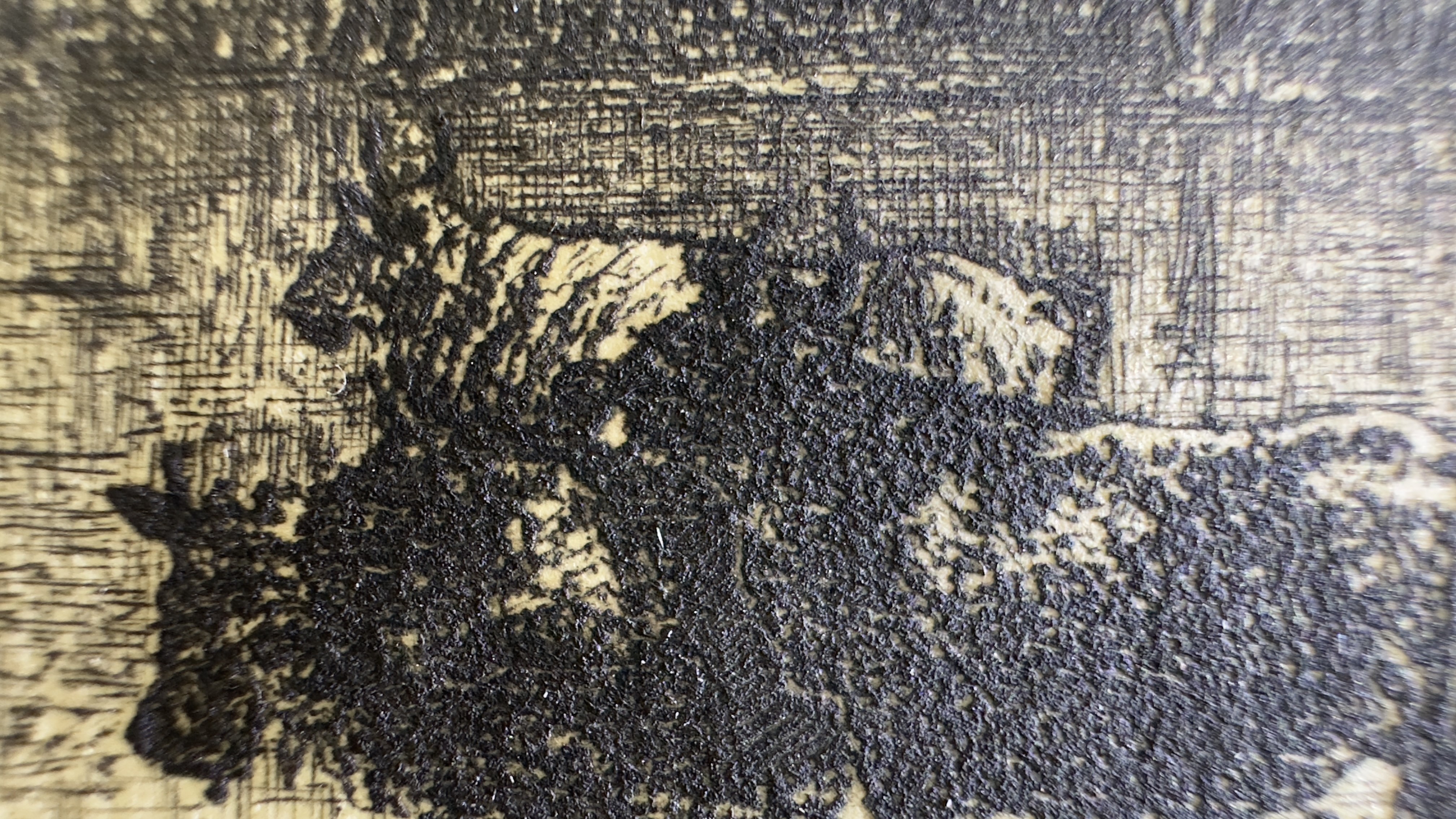 Macro Details Fig.23