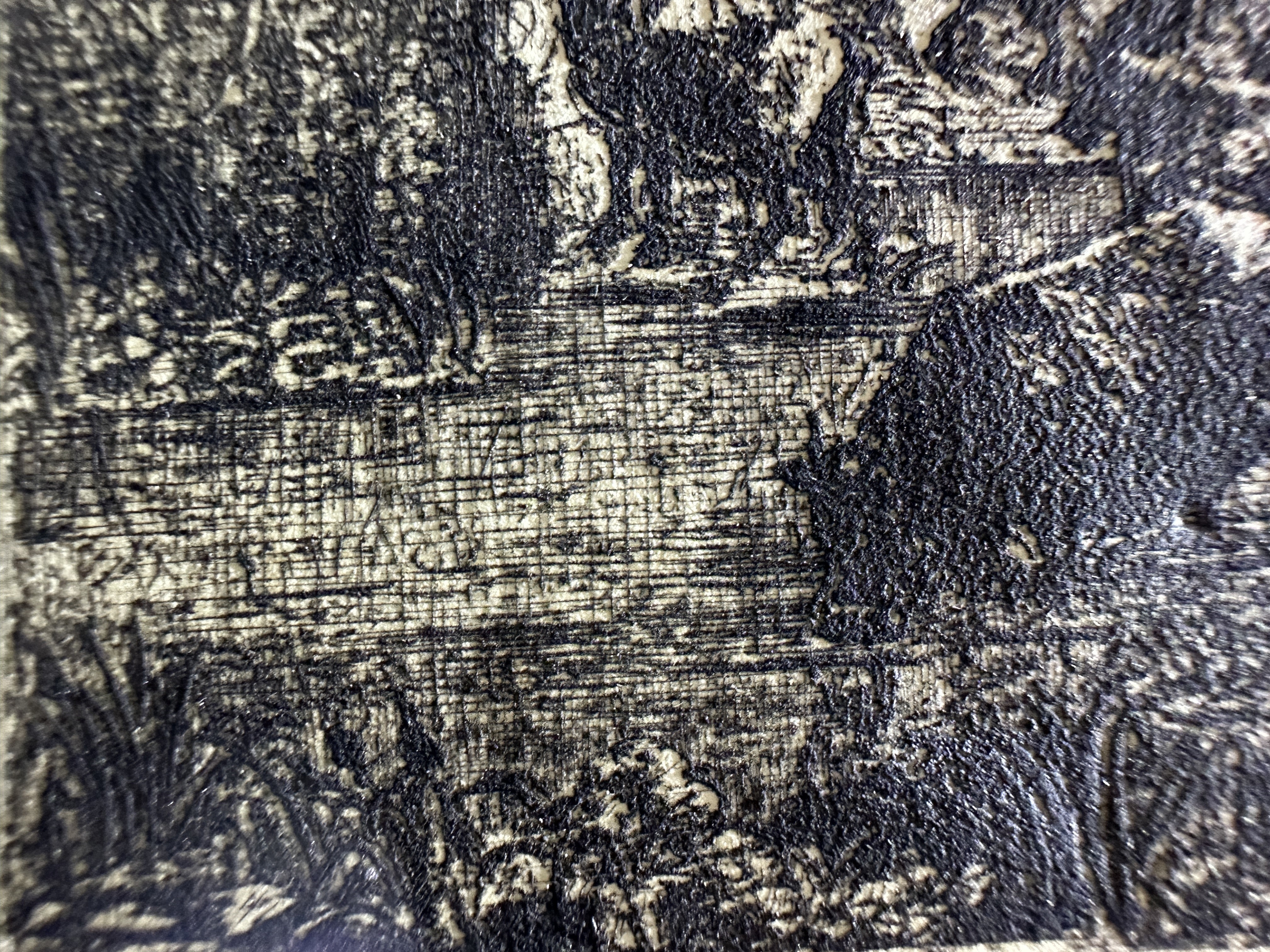 Macro Details Fig.25