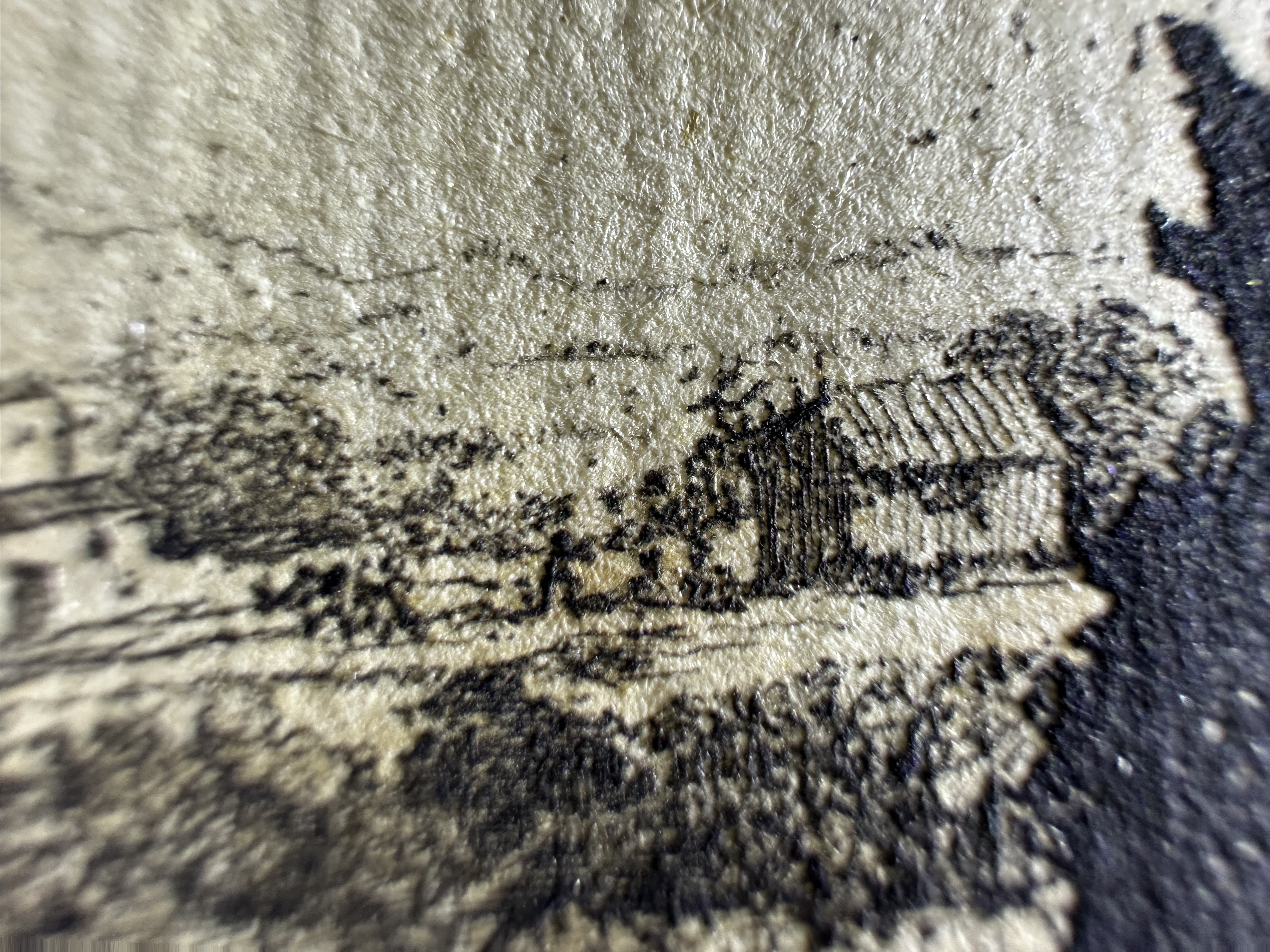 Macro Details Fig.26