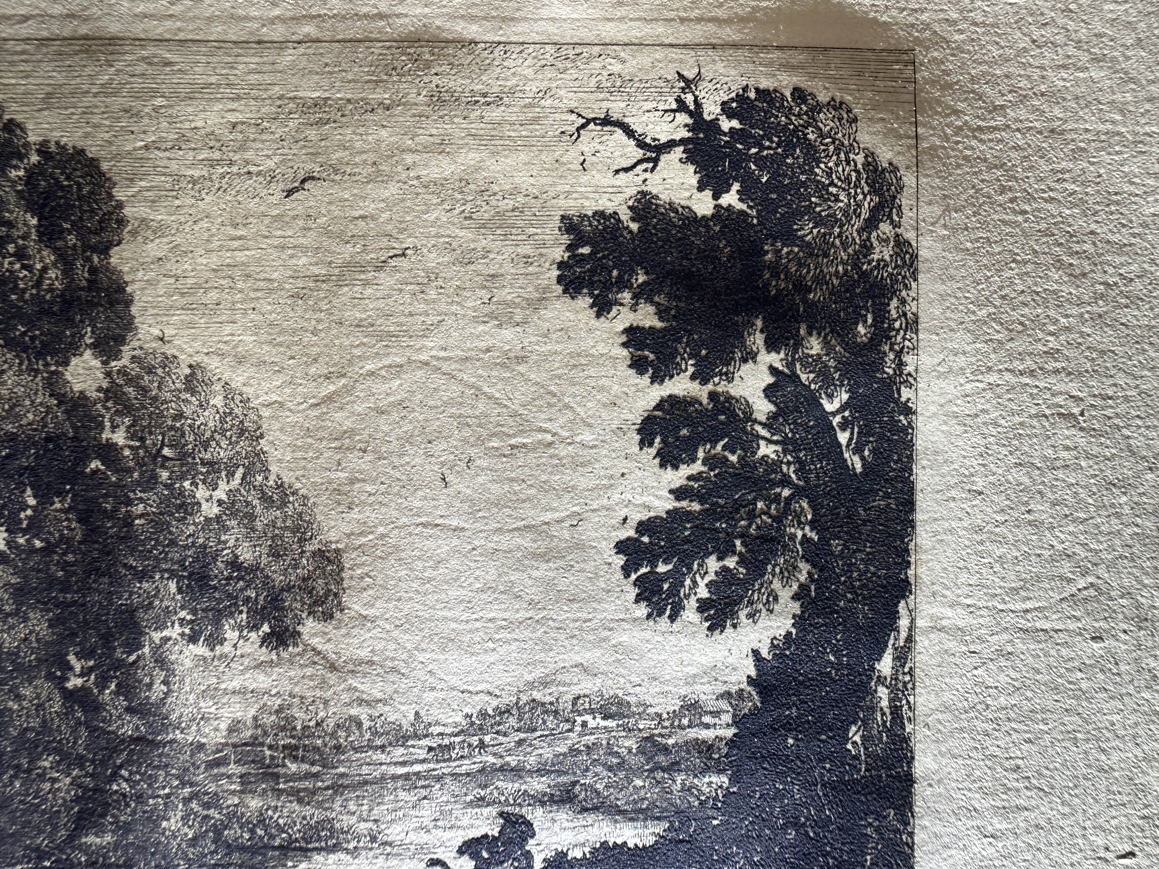 Macro Details Fig.30