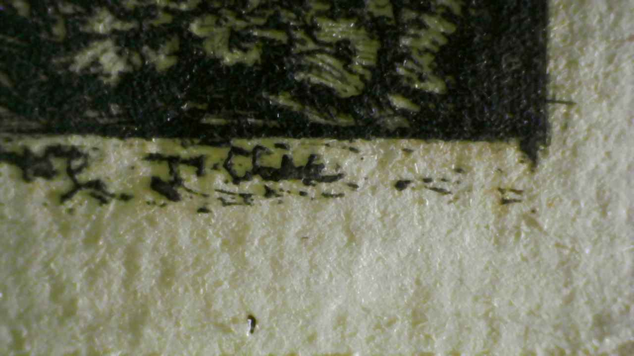 Micro Details Fig.10