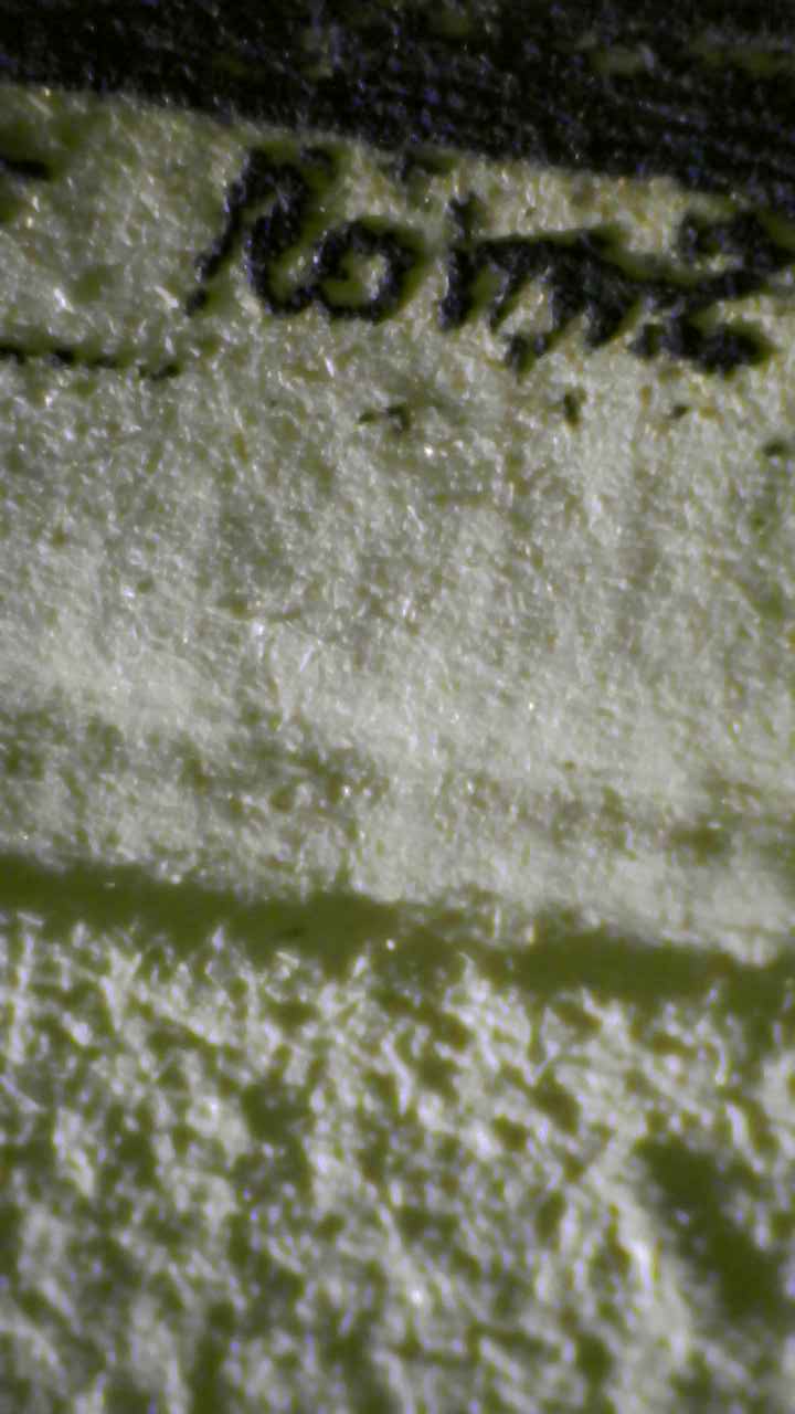 Micro Details Fig.11