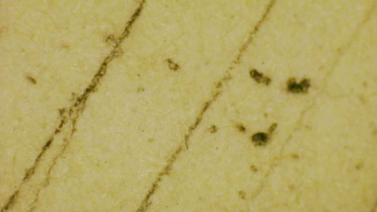 Micro Details Fig.14