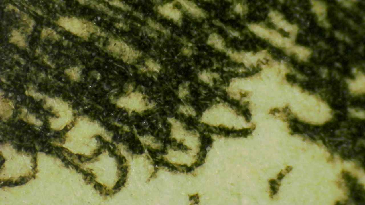 Micro Details Fig.12