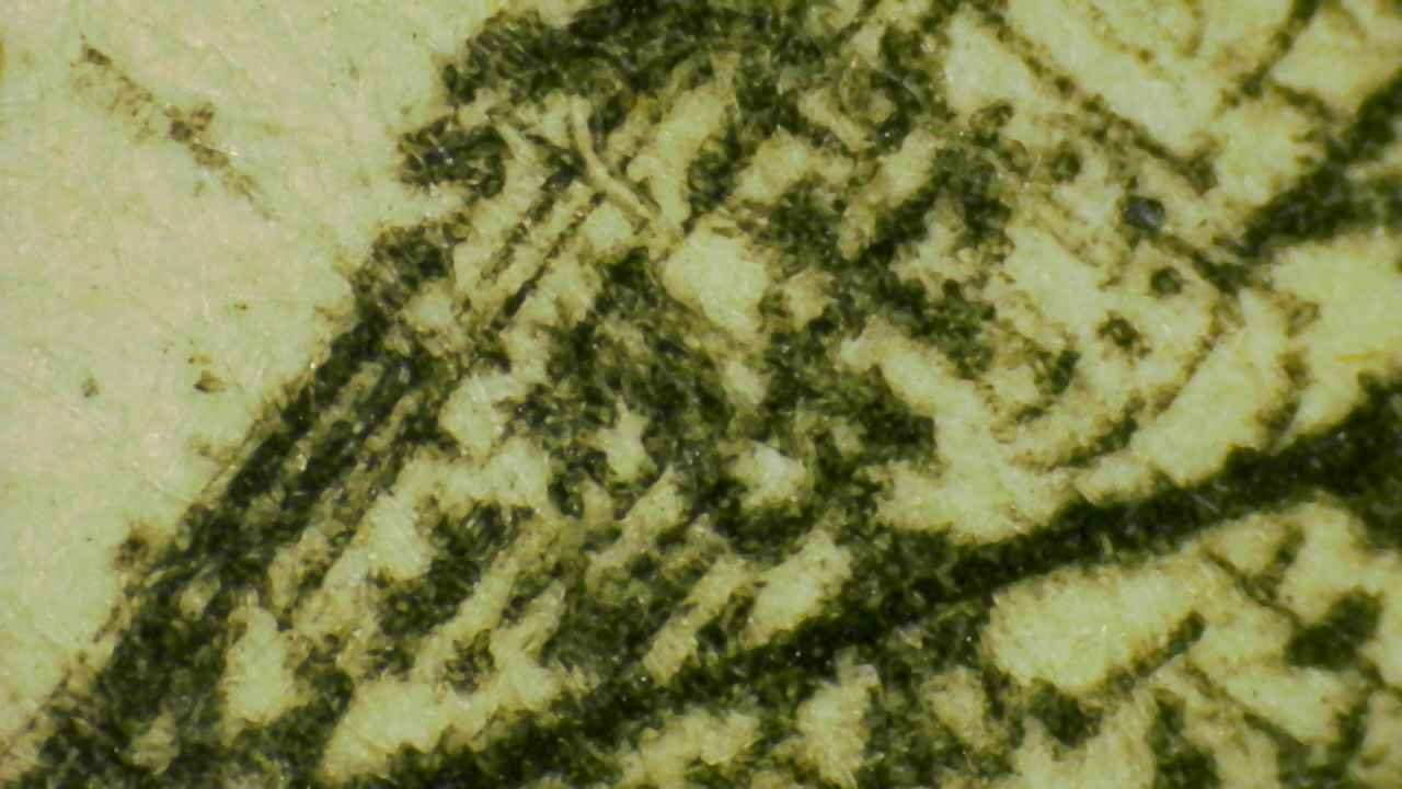 Micro Details Fig.13