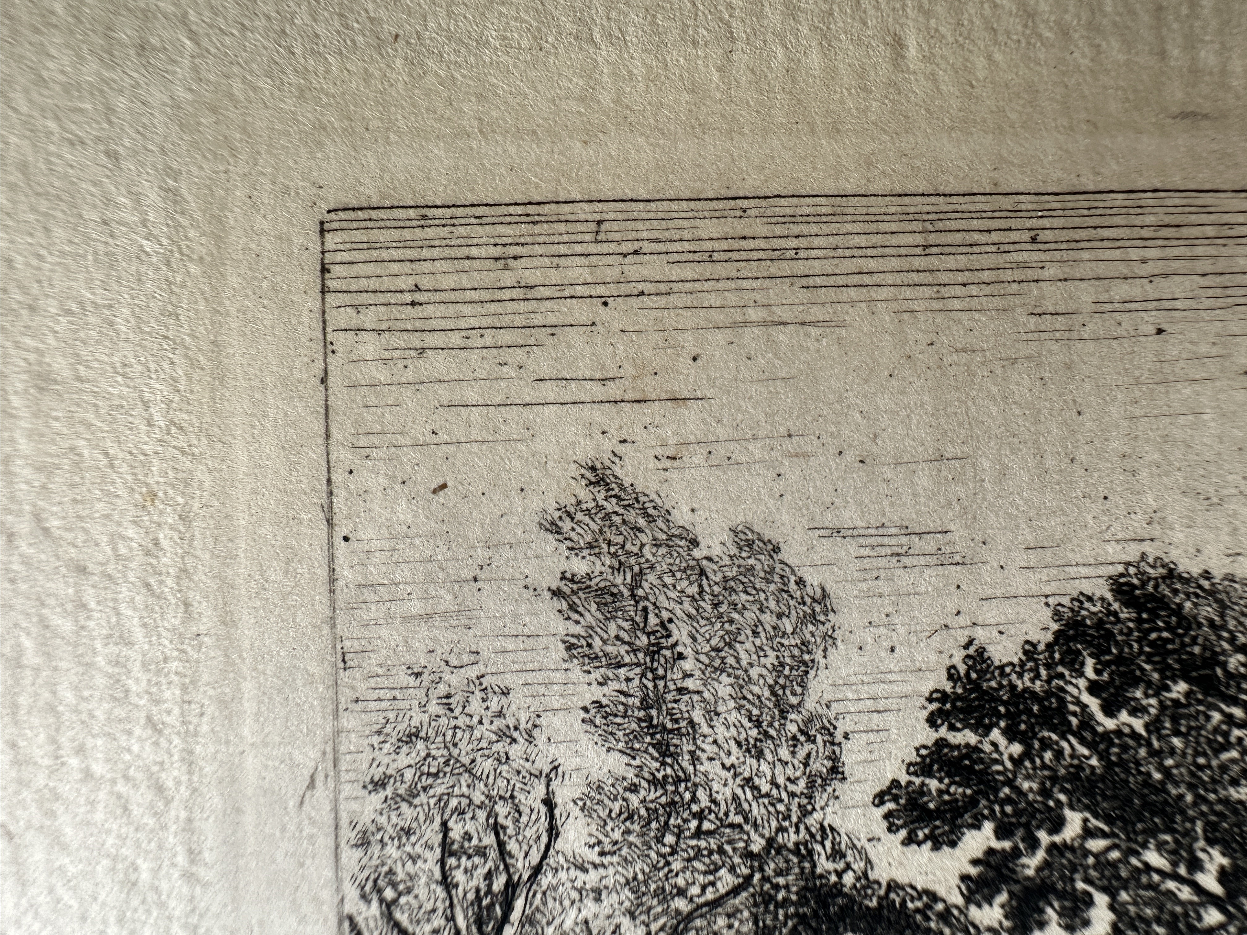 Platemark, upper left.