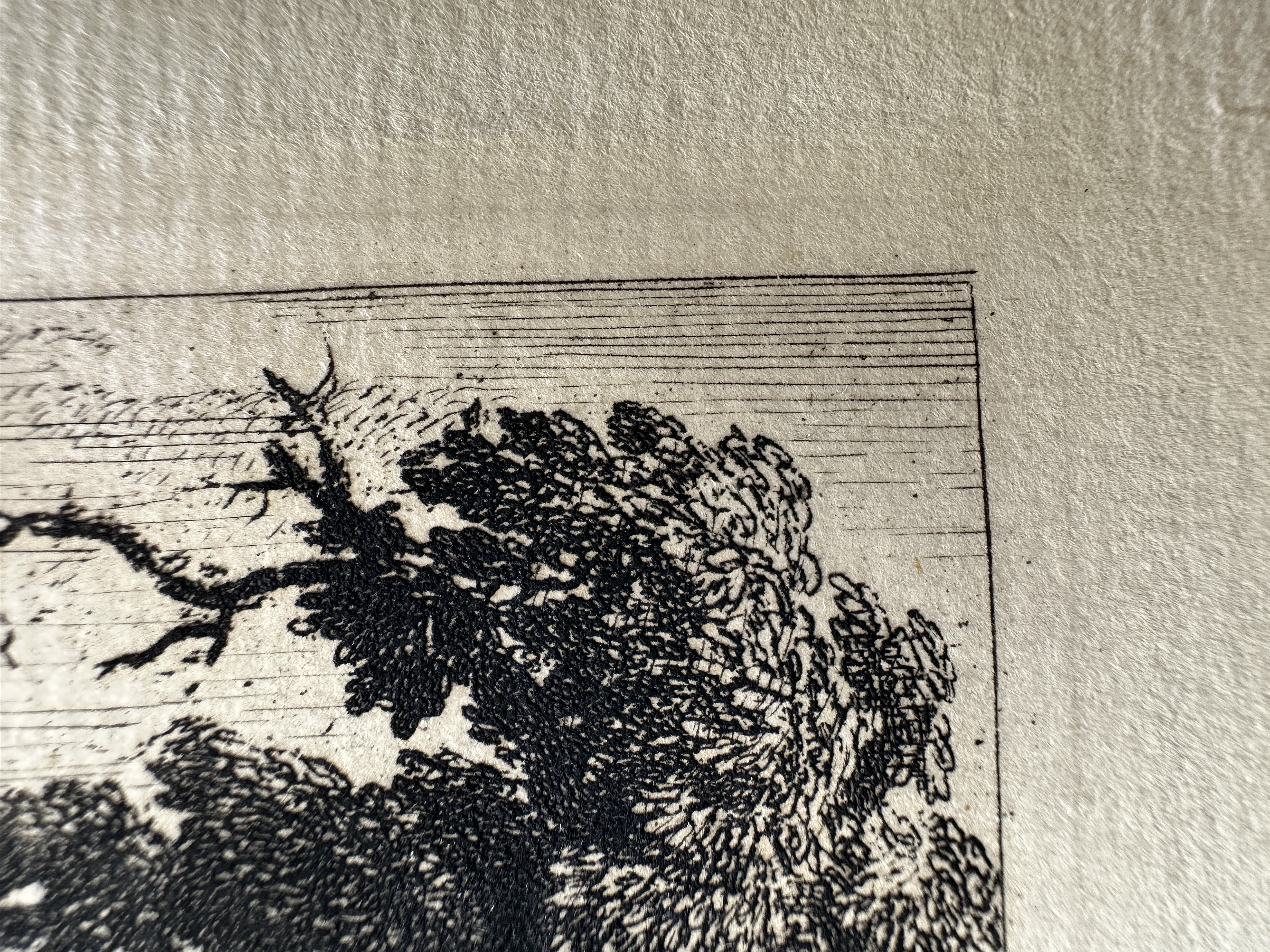 Platemark, upper right.