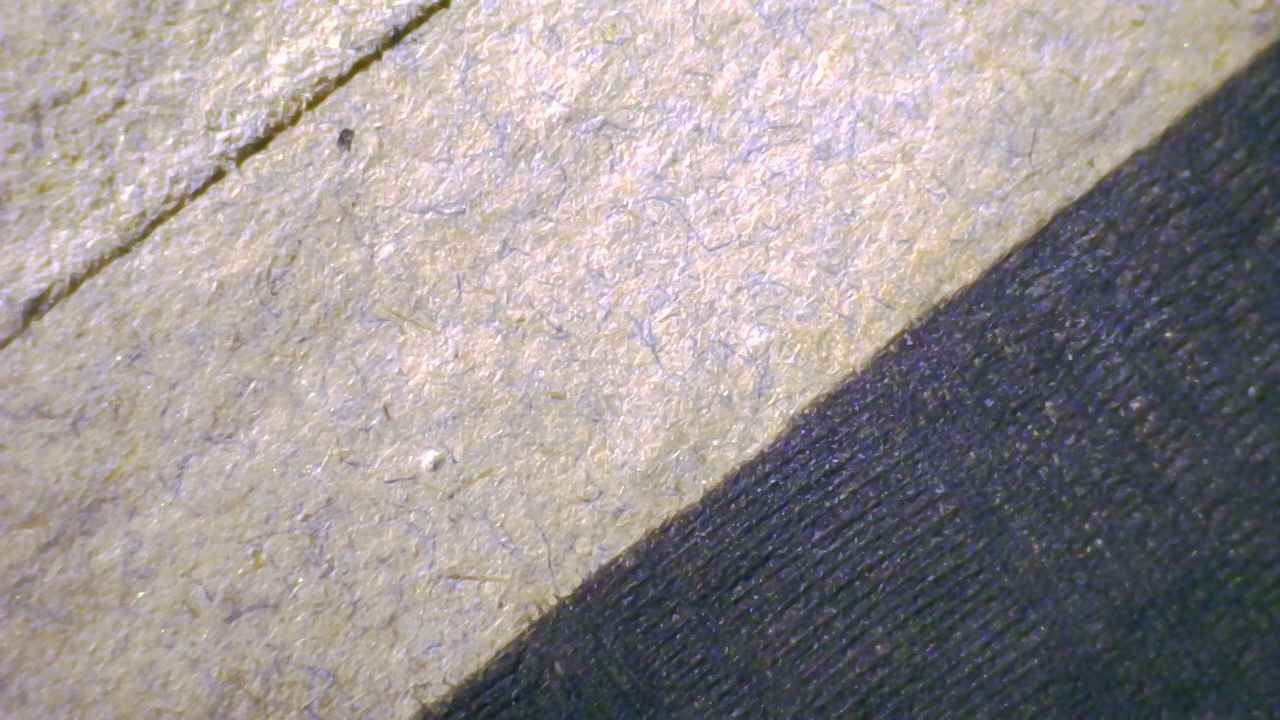 Blue fibers under magnification