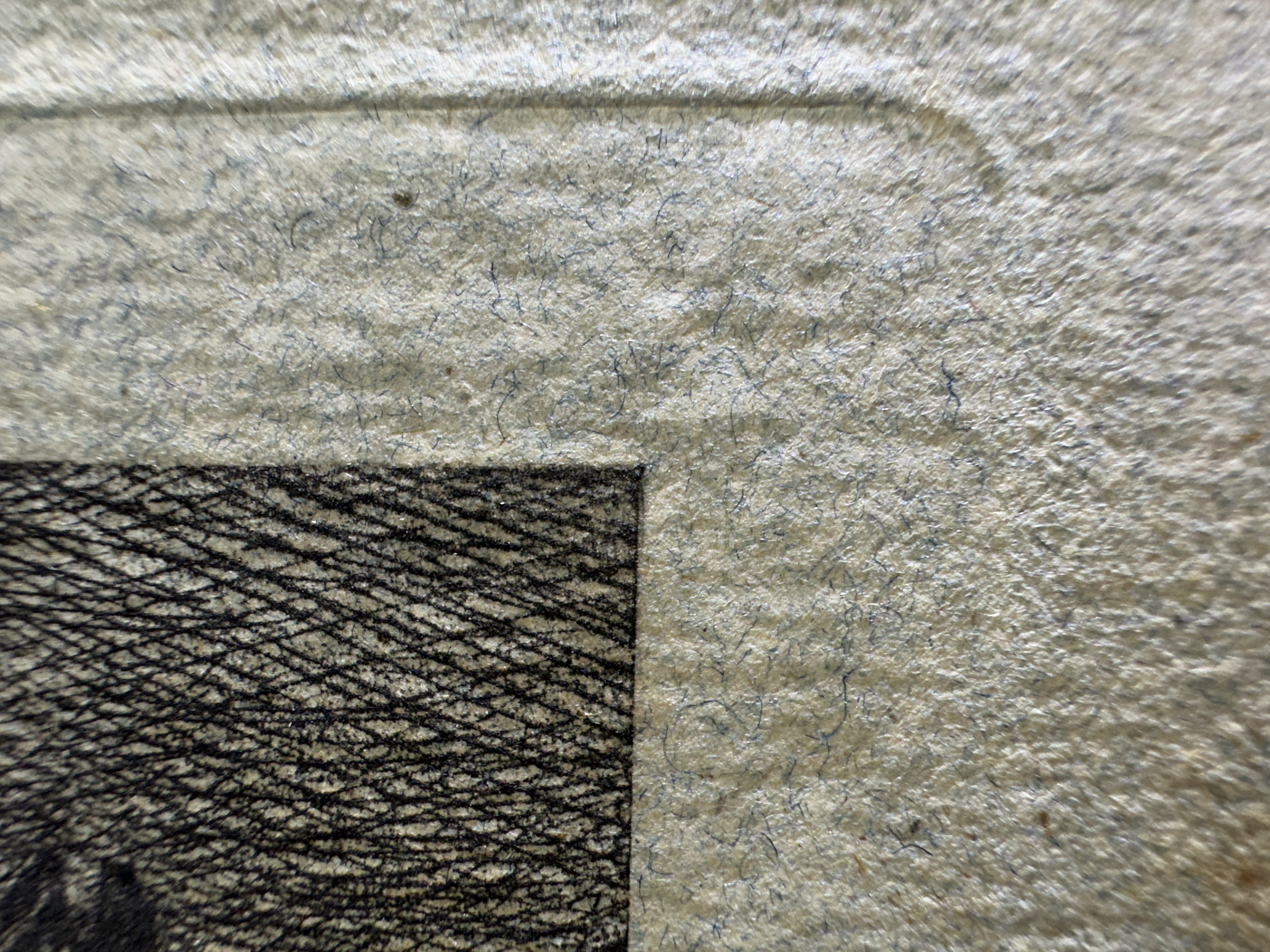 Blue fibers under magnification