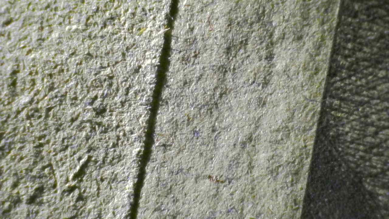 Micro Details Fig.10