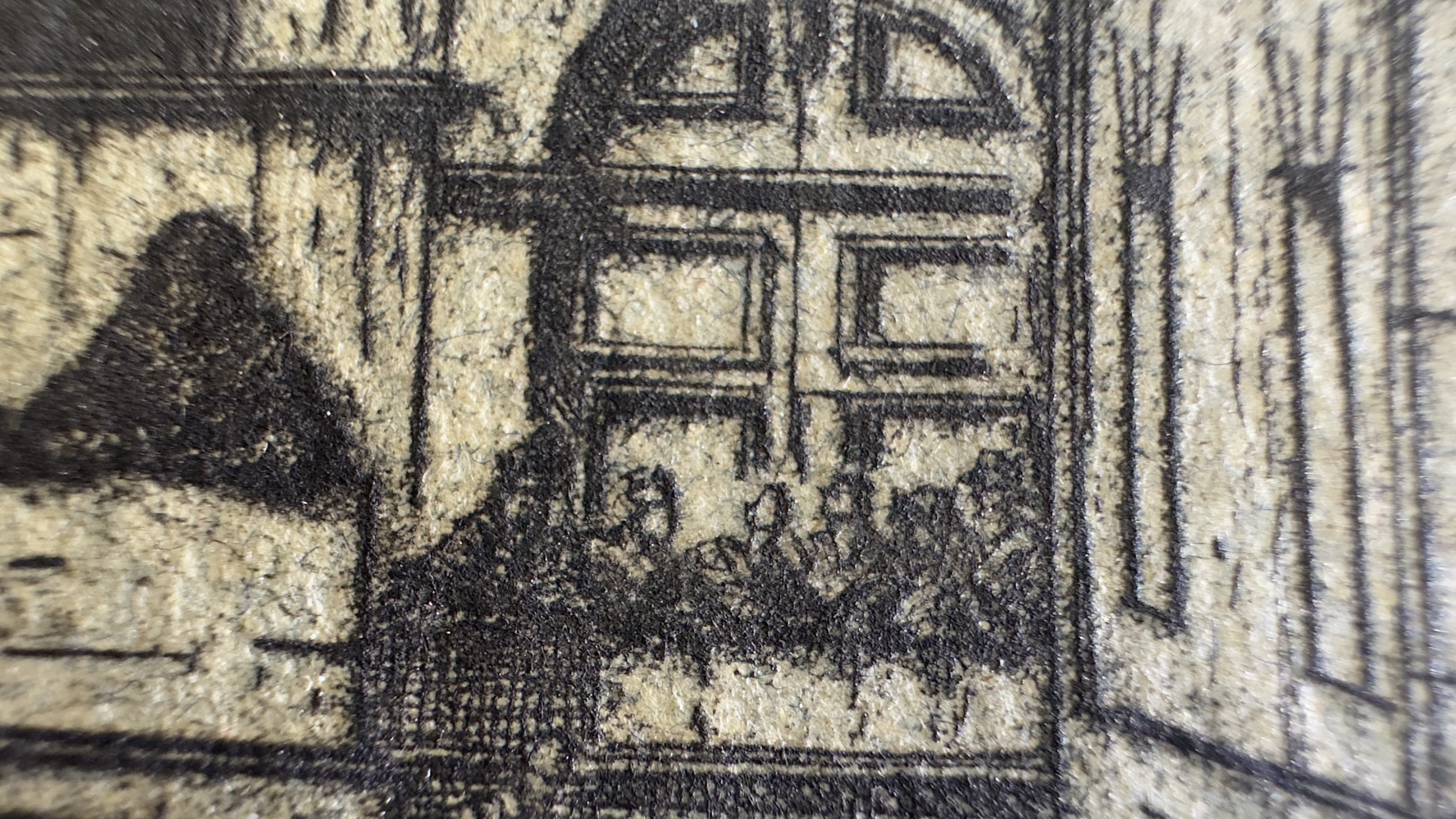 Macro Details Fig.11