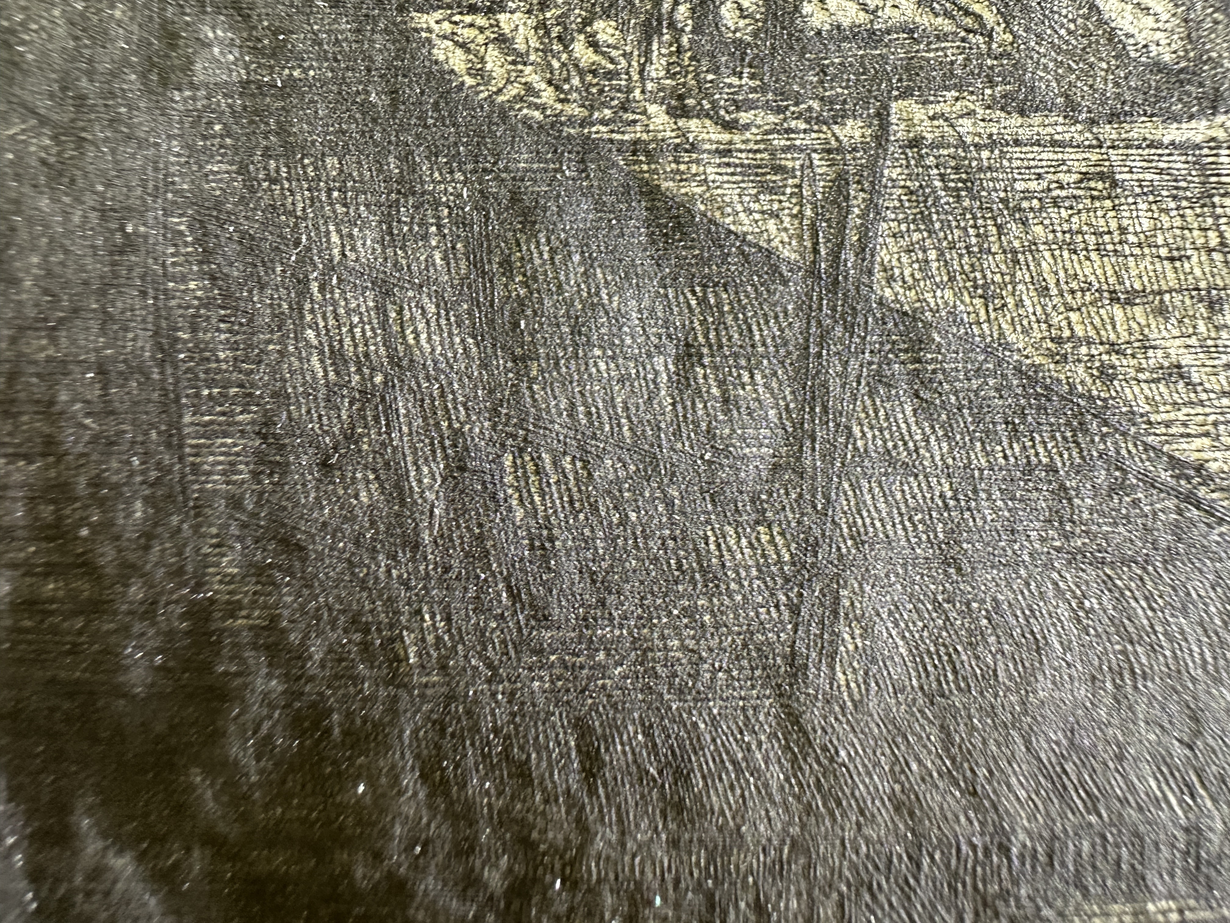 Macro Details Fig.21