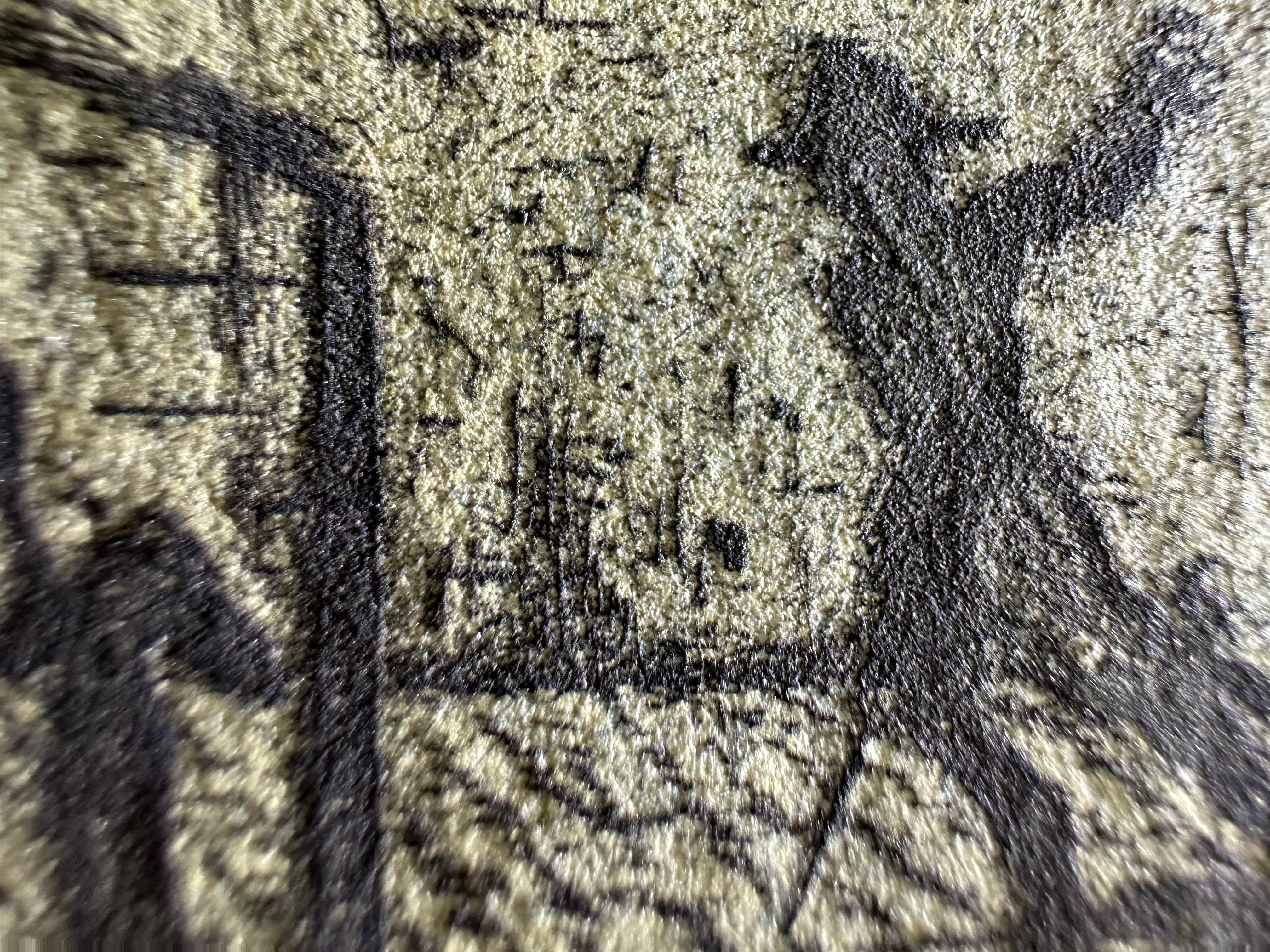 Macro Details Fig.22