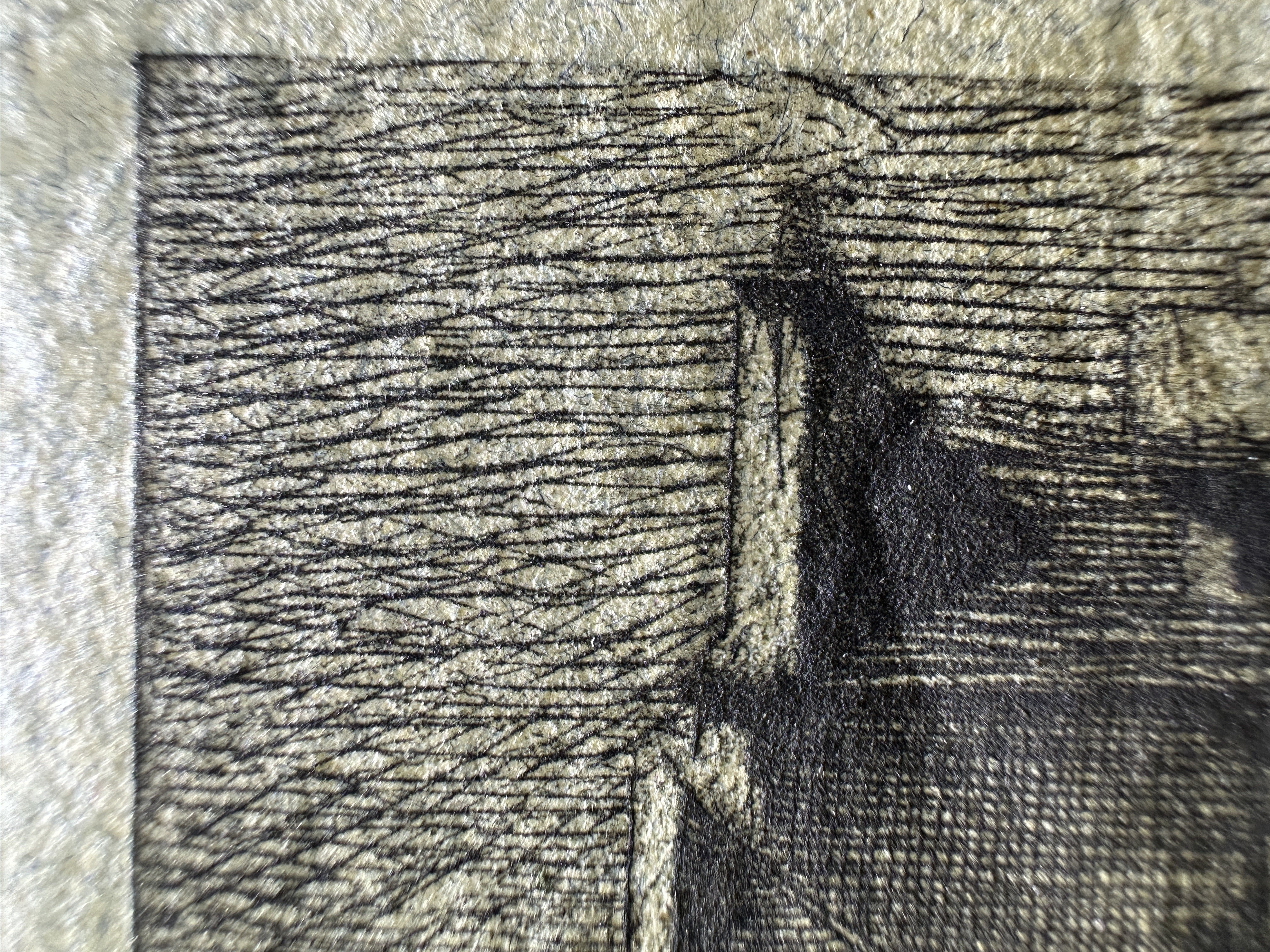 Macro Details Fig.28