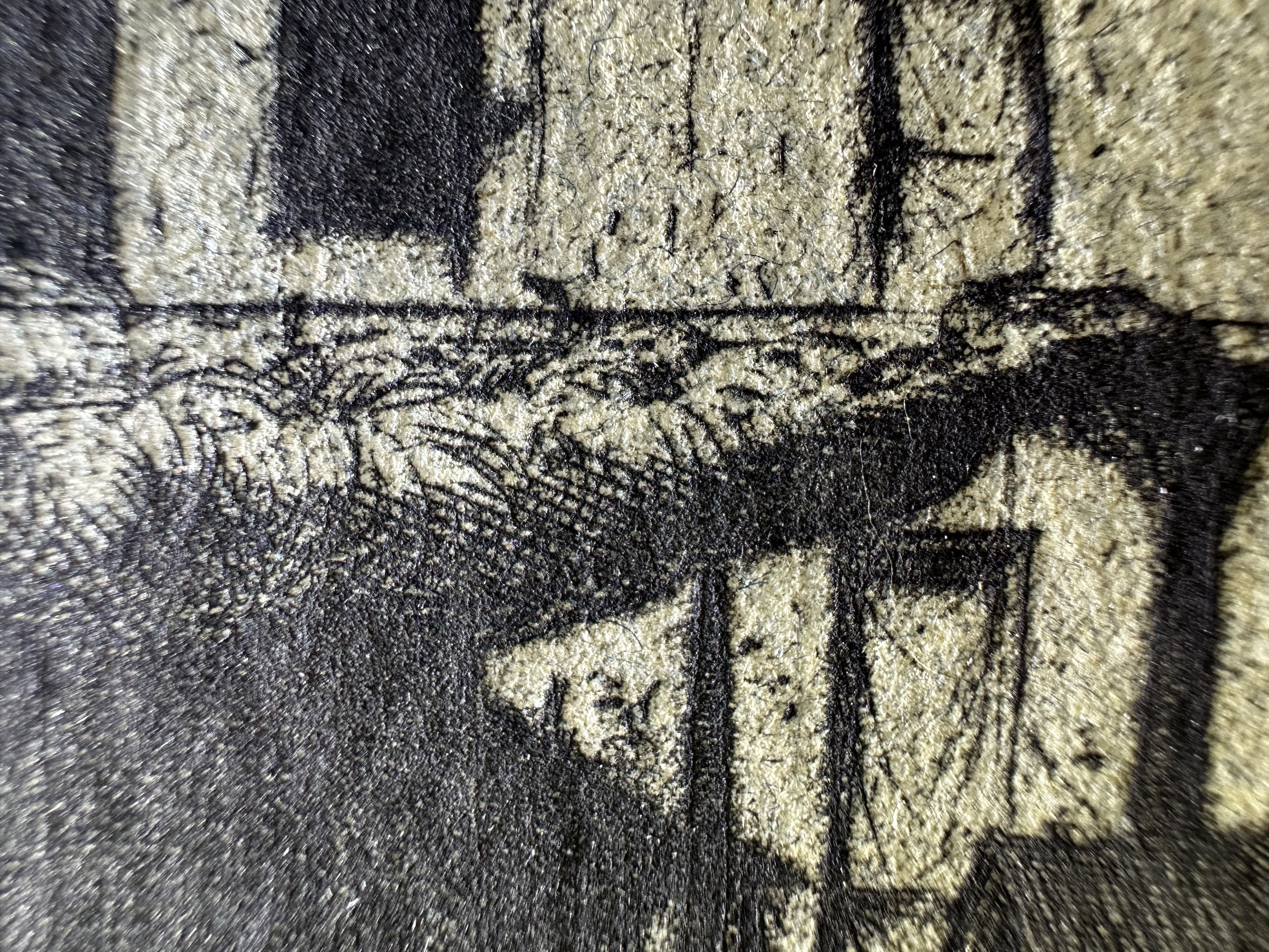 Macro Details Fig.31