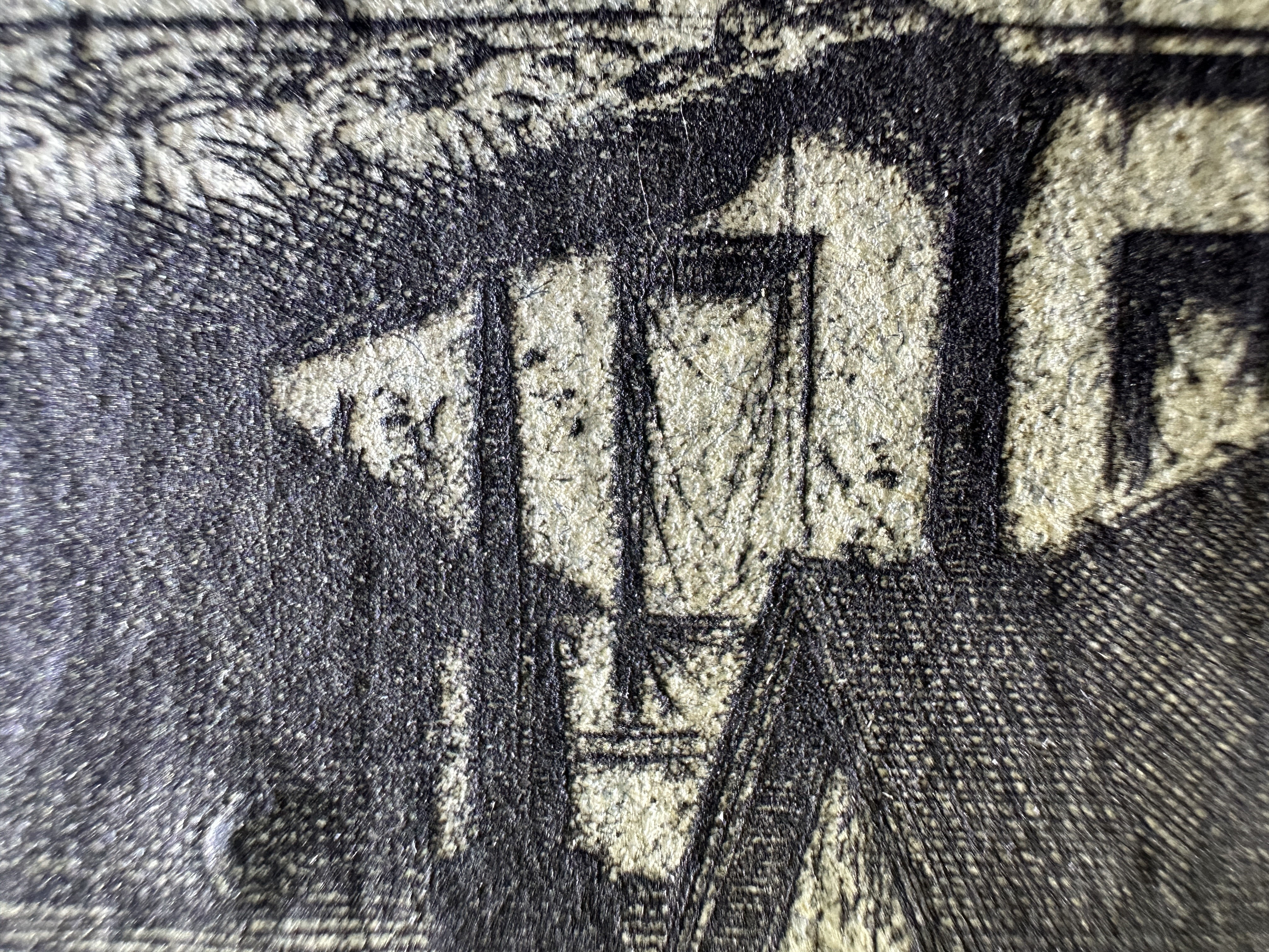 Macro Details Fig.29