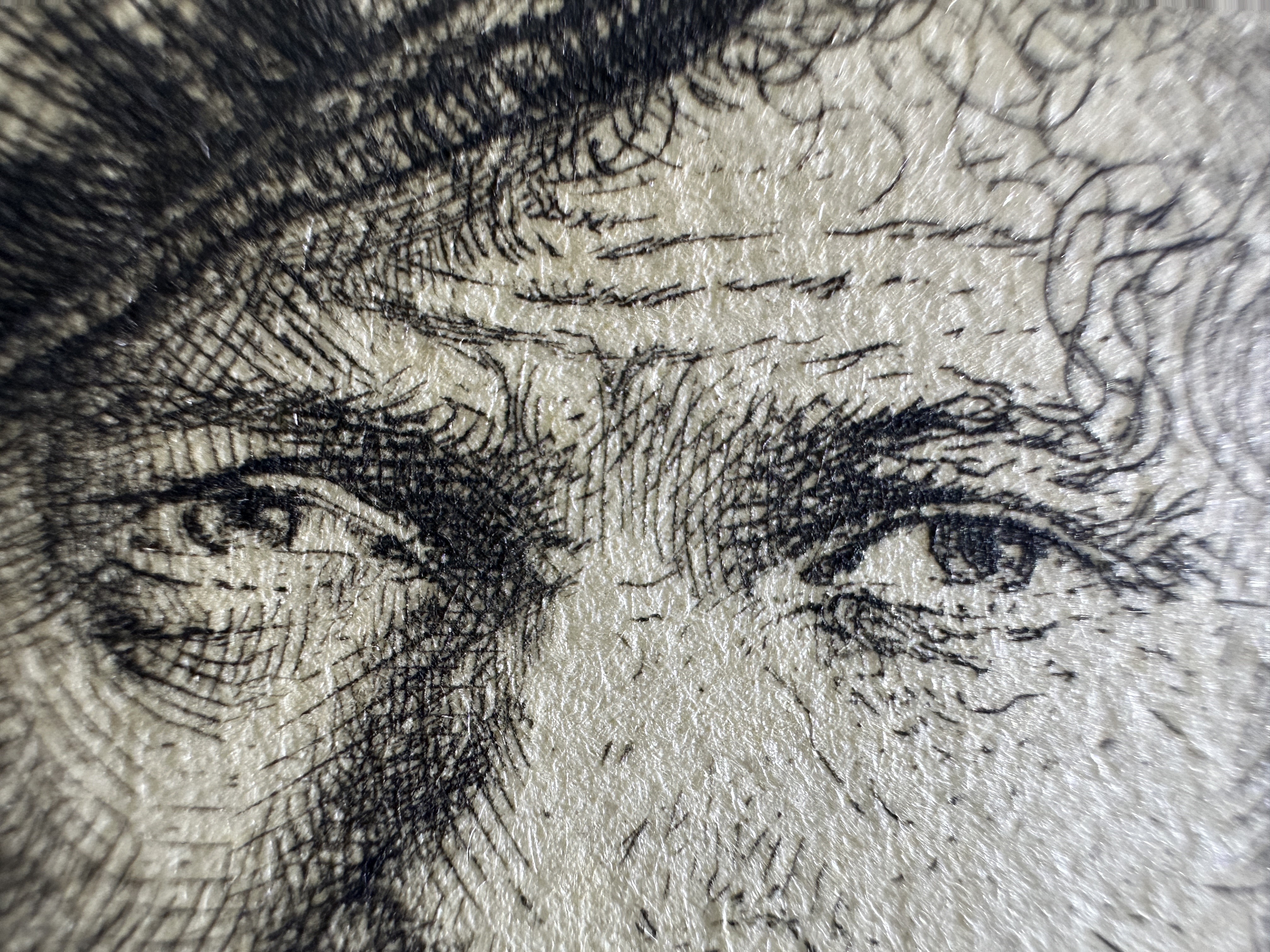 Active burr zones macro close-up