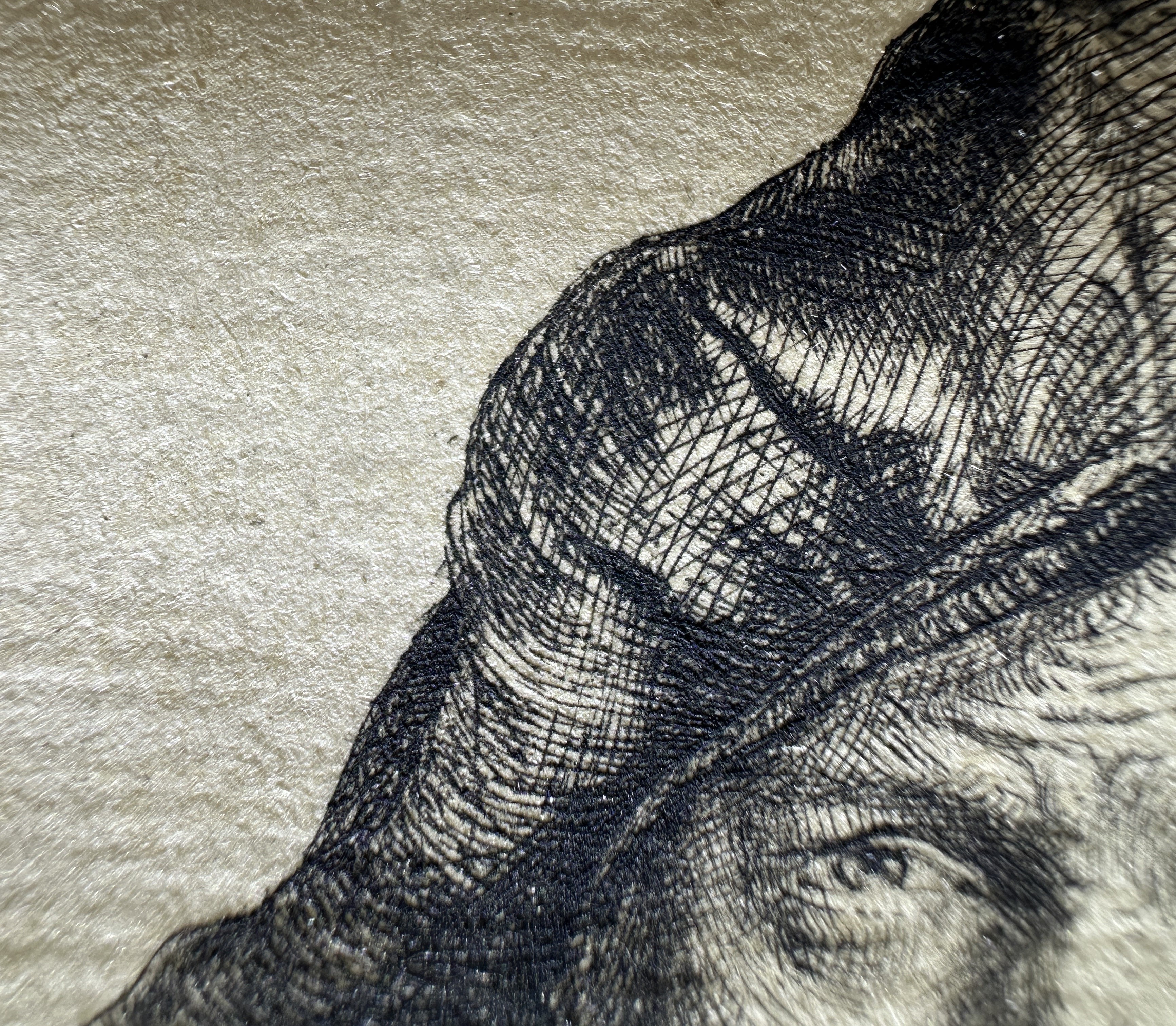 Face and beret (macro).