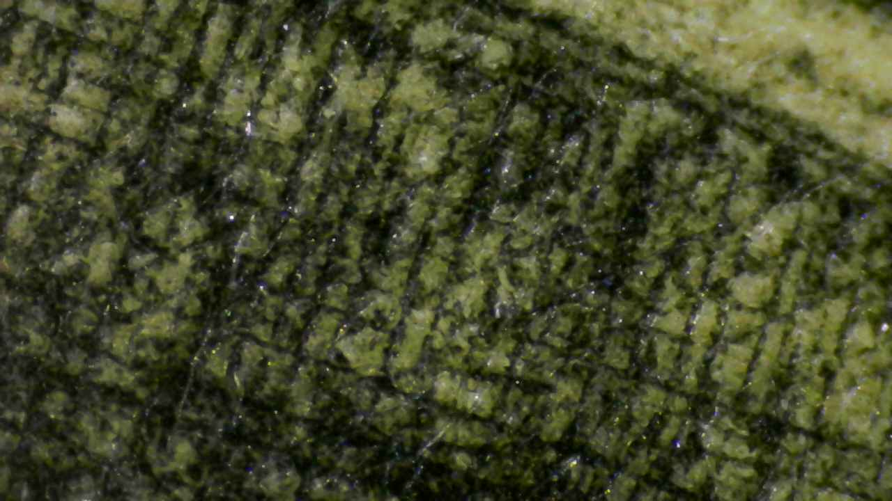 Pigment granular structure within the paper fibers.