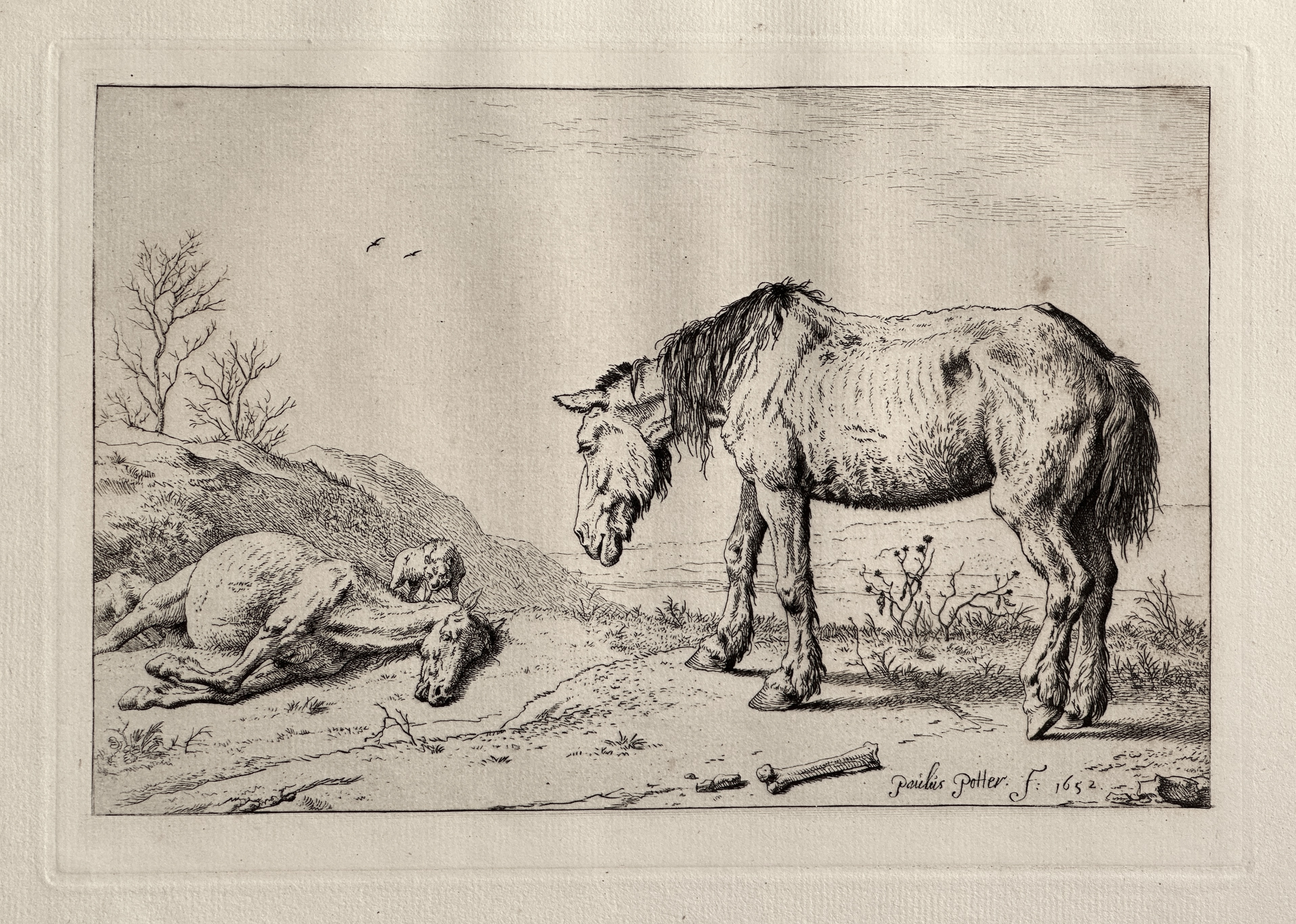 Platemark — overall.