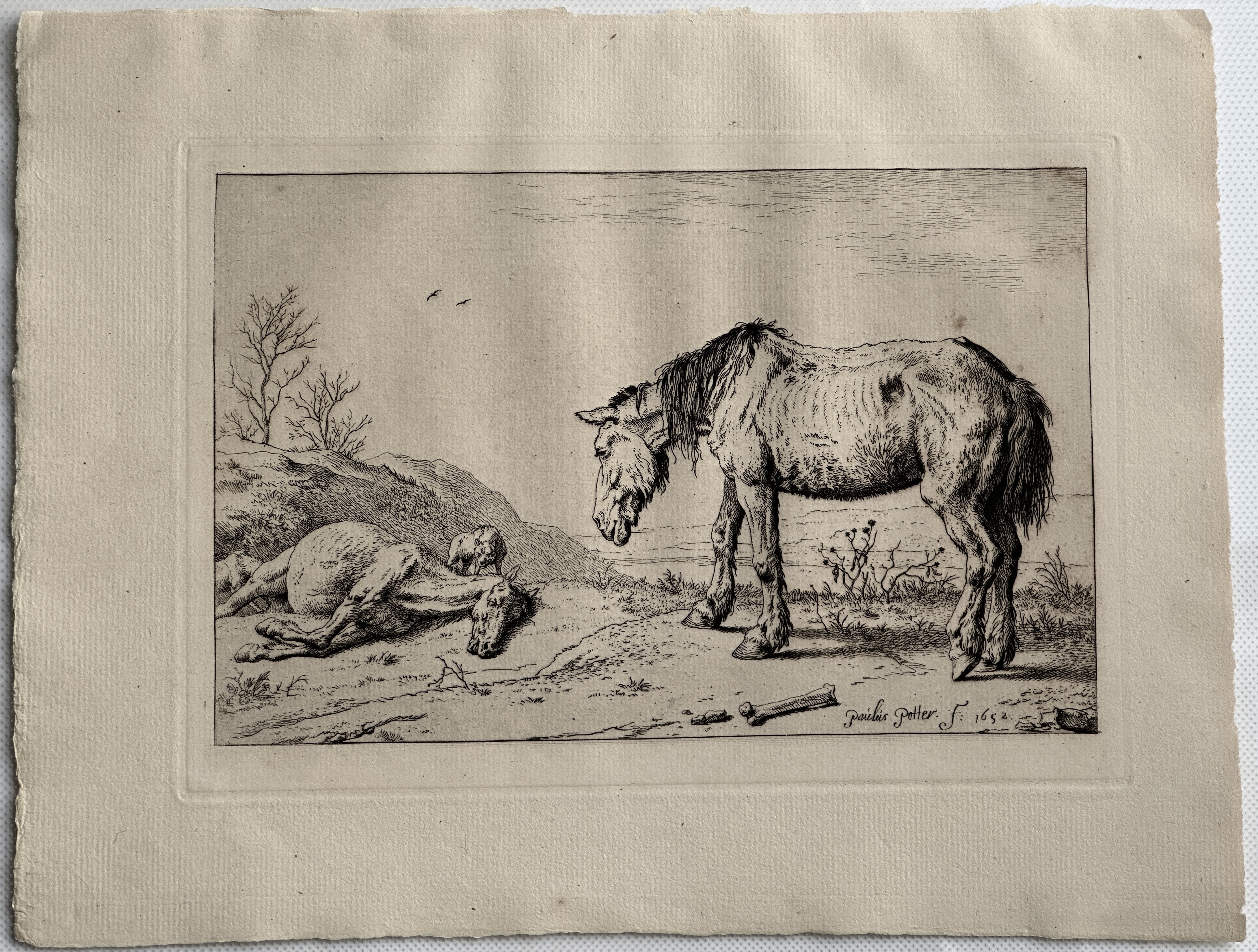 Full View of the Print