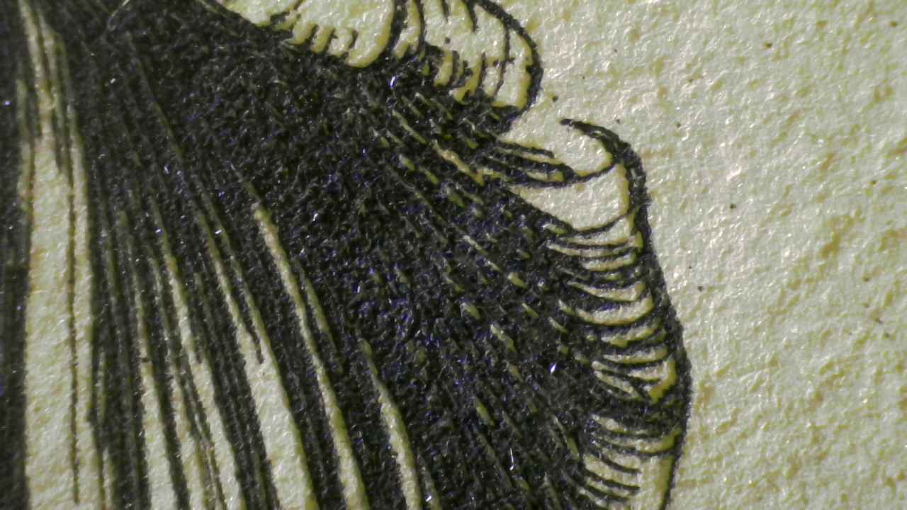 Fig.1 Microscopic view of parallel incised grooves