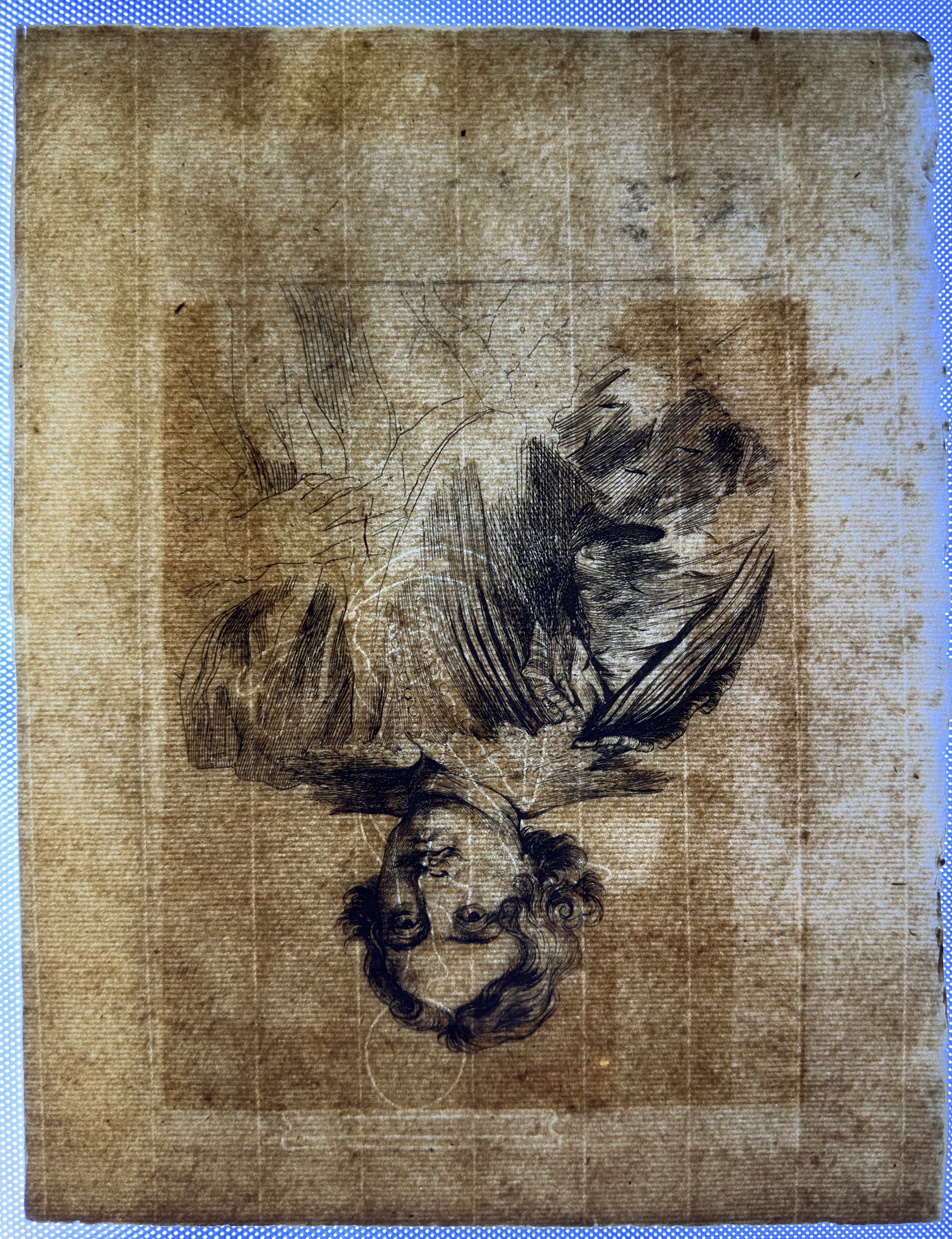 Reverse in transmitted light