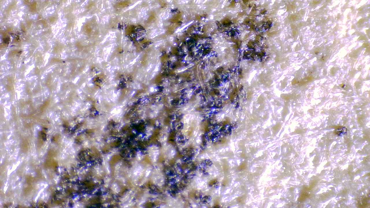 Paper fibers under magnification