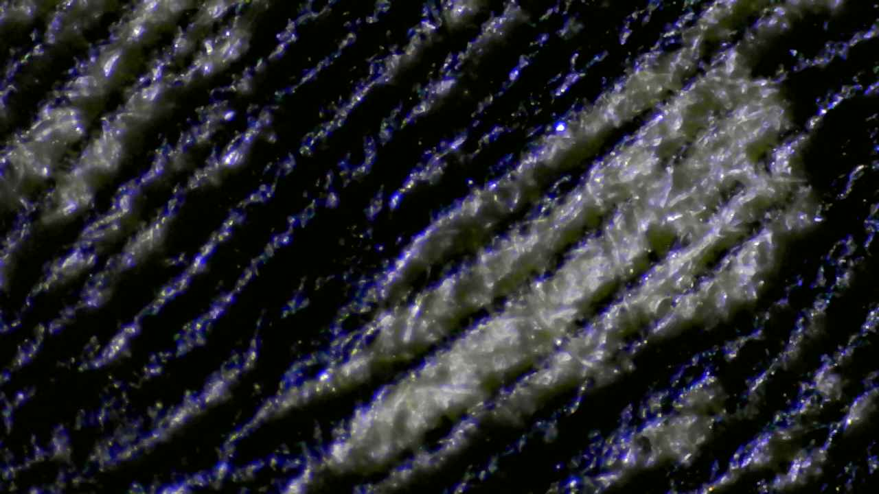 Fig.11 Micro Details