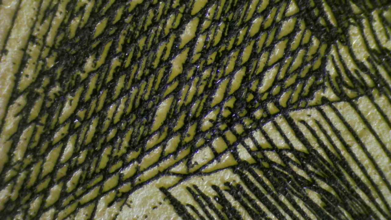 Fig.10 Micro Details