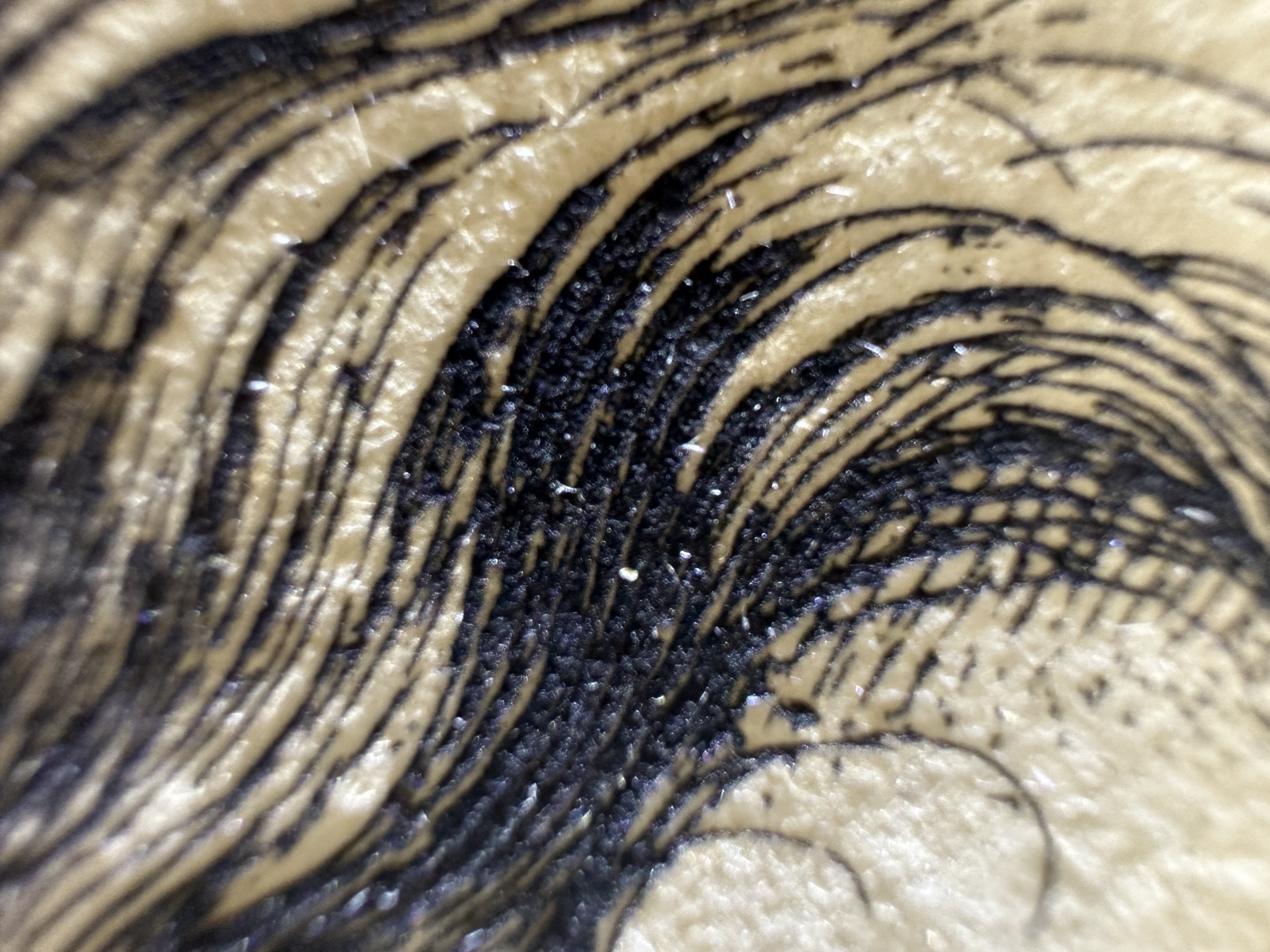 Fig.13 Macro Details