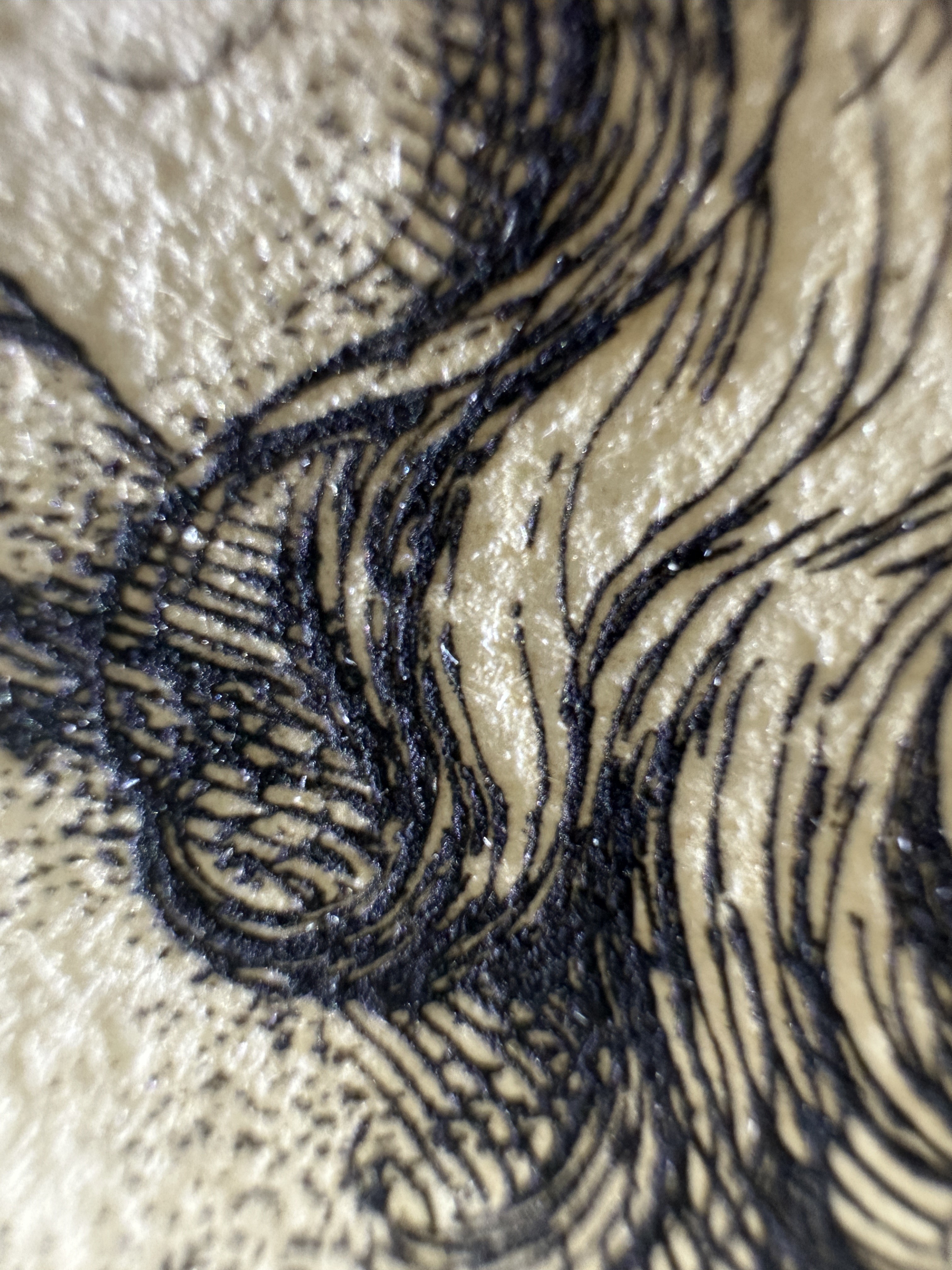 Fig.12 Macro Details