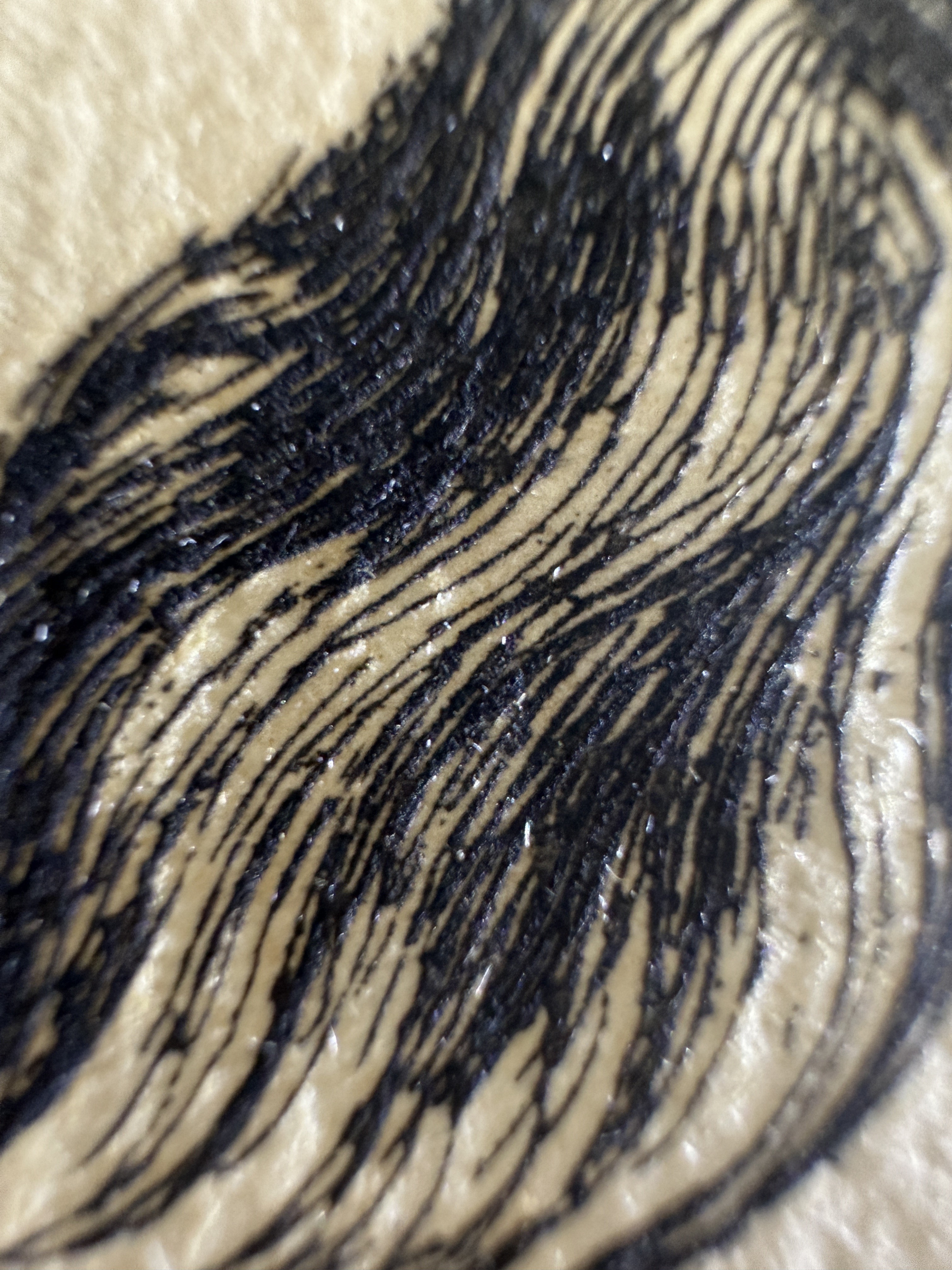 Fig.14 Macro Details