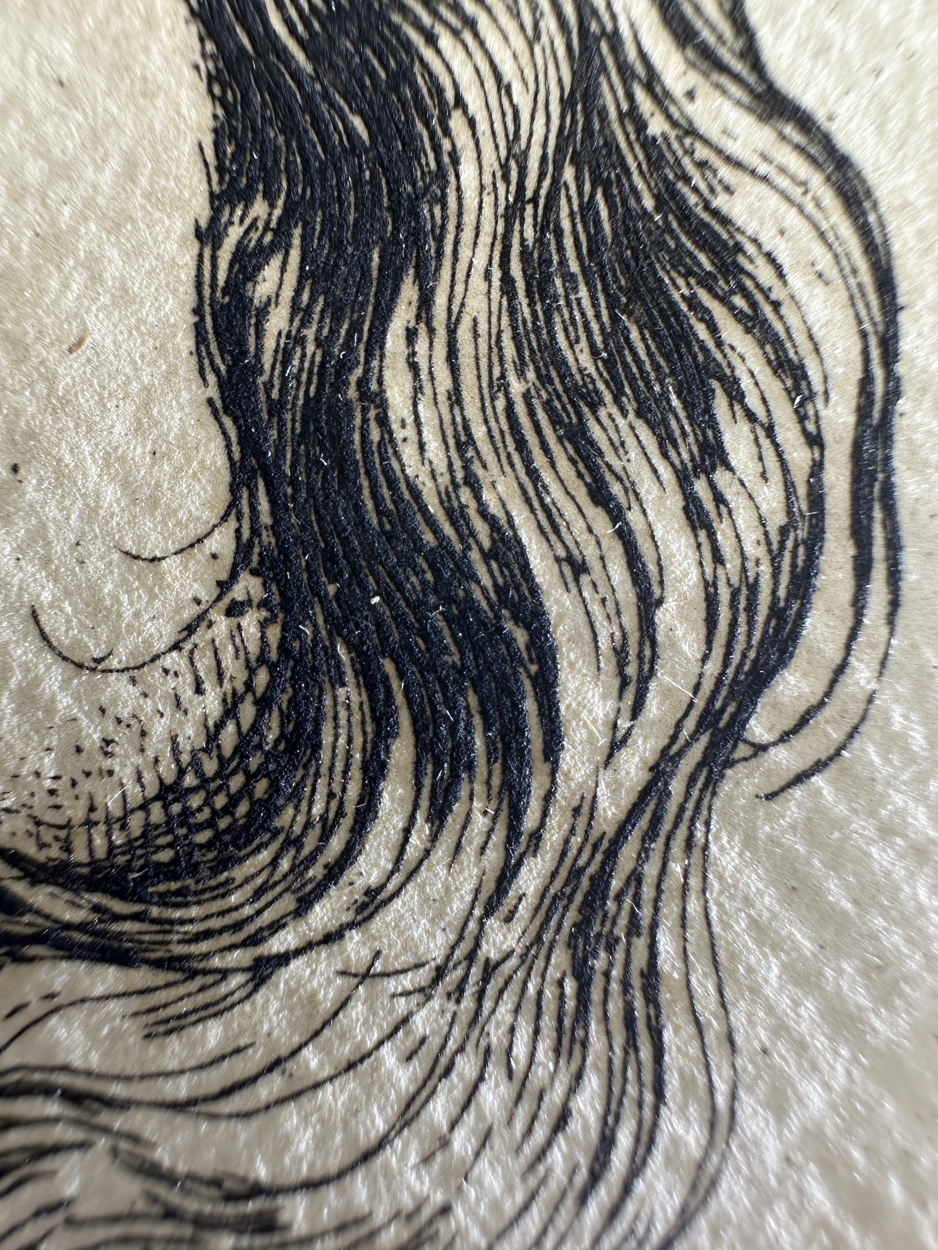 Fig.11 Macro Details