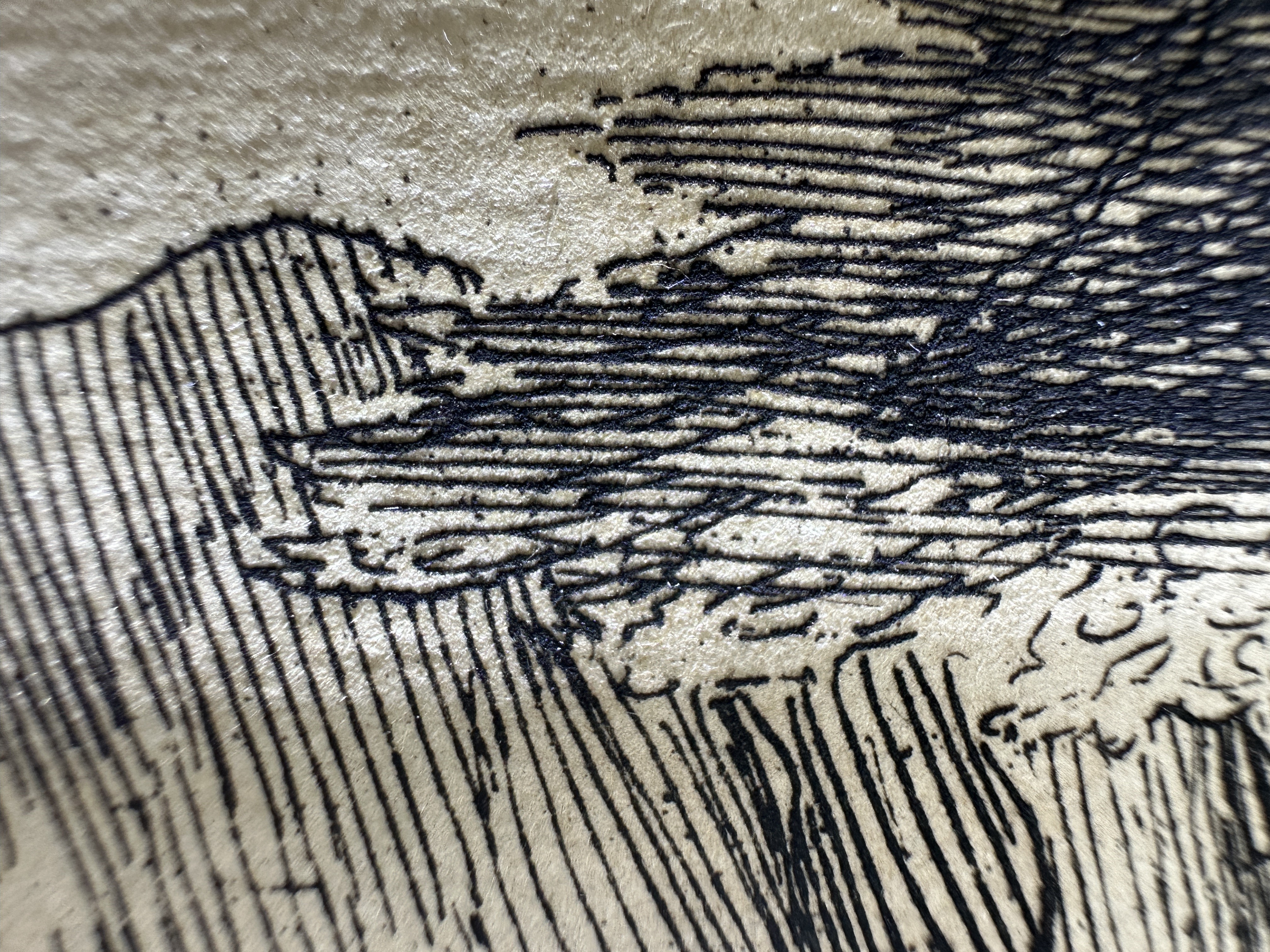 Fig.19 Macro Details